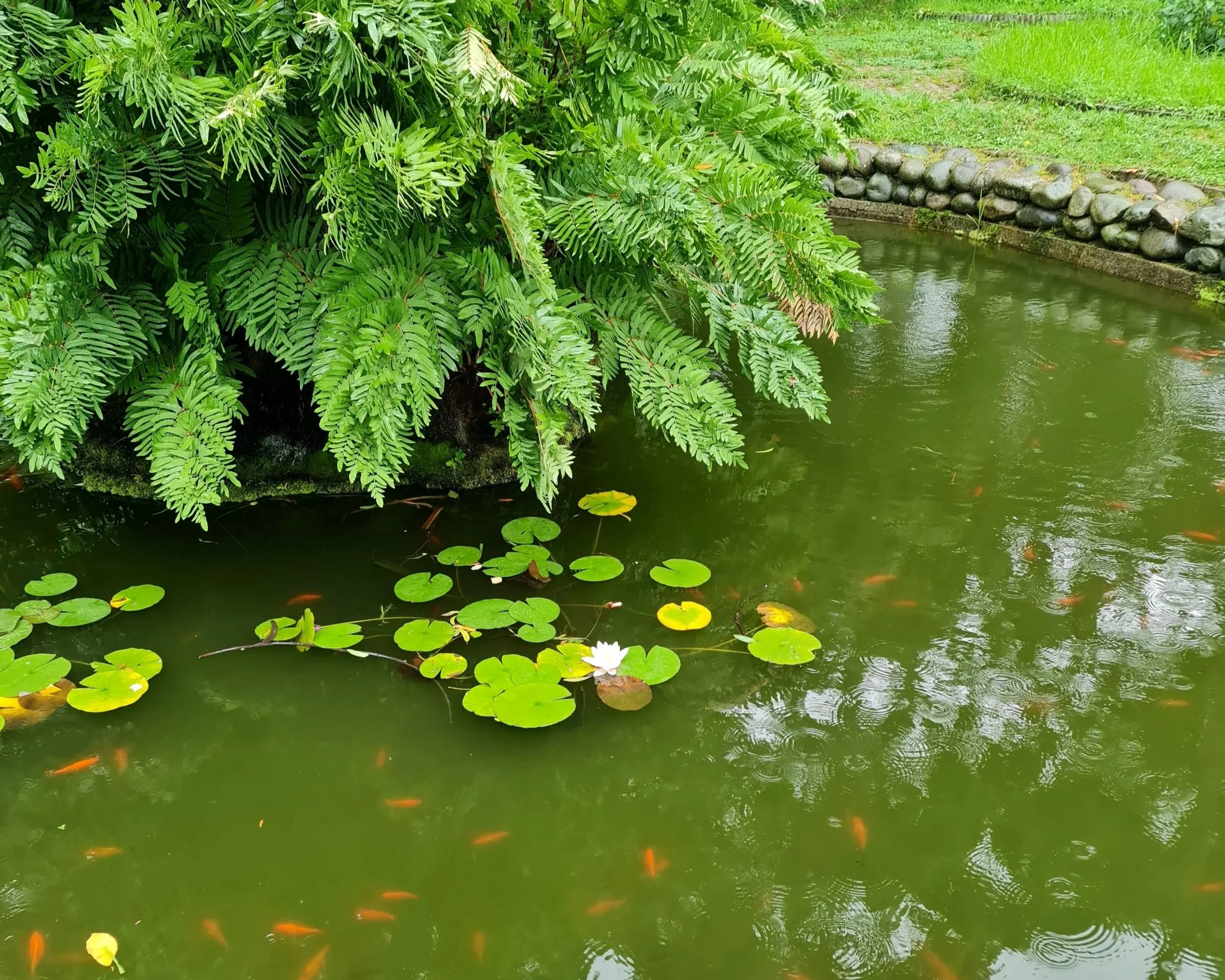 As Movement Continues to Emerge