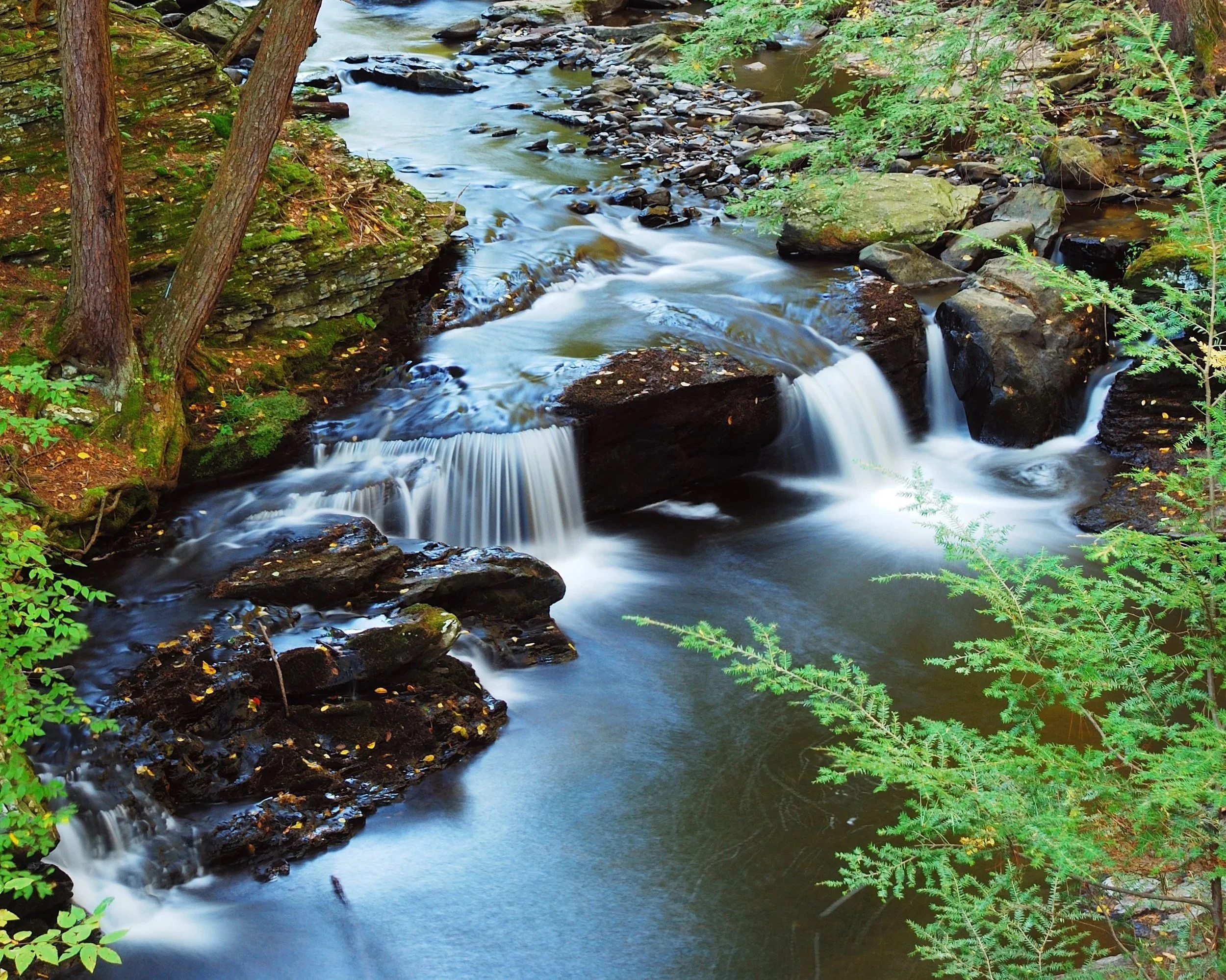 Picking Up from Within the Movement