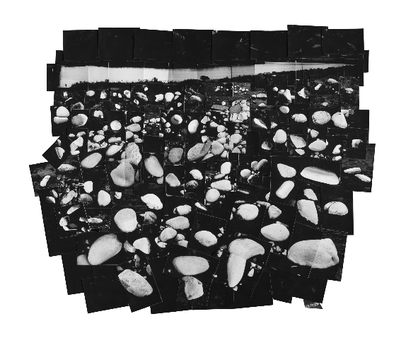 利根川ー川と石