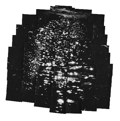 利根川ー海の星