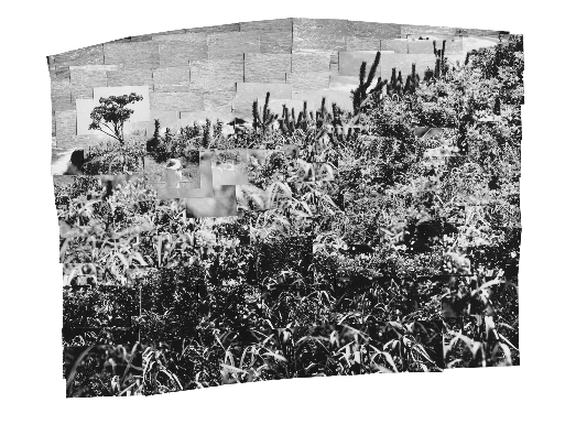 利根川ー海の風