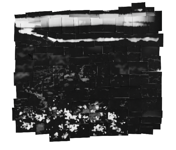 利根川ー取手を通る川