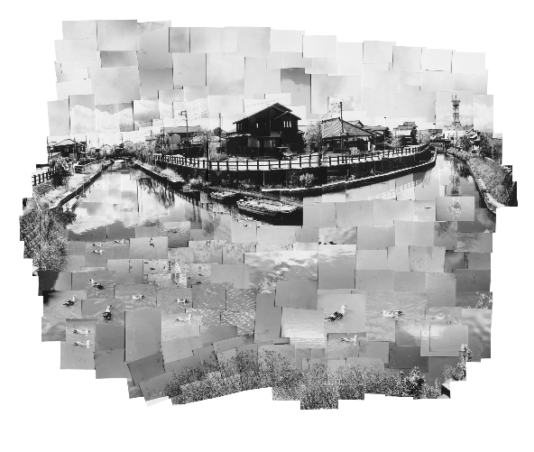 利根川ー佐原の街と鴨