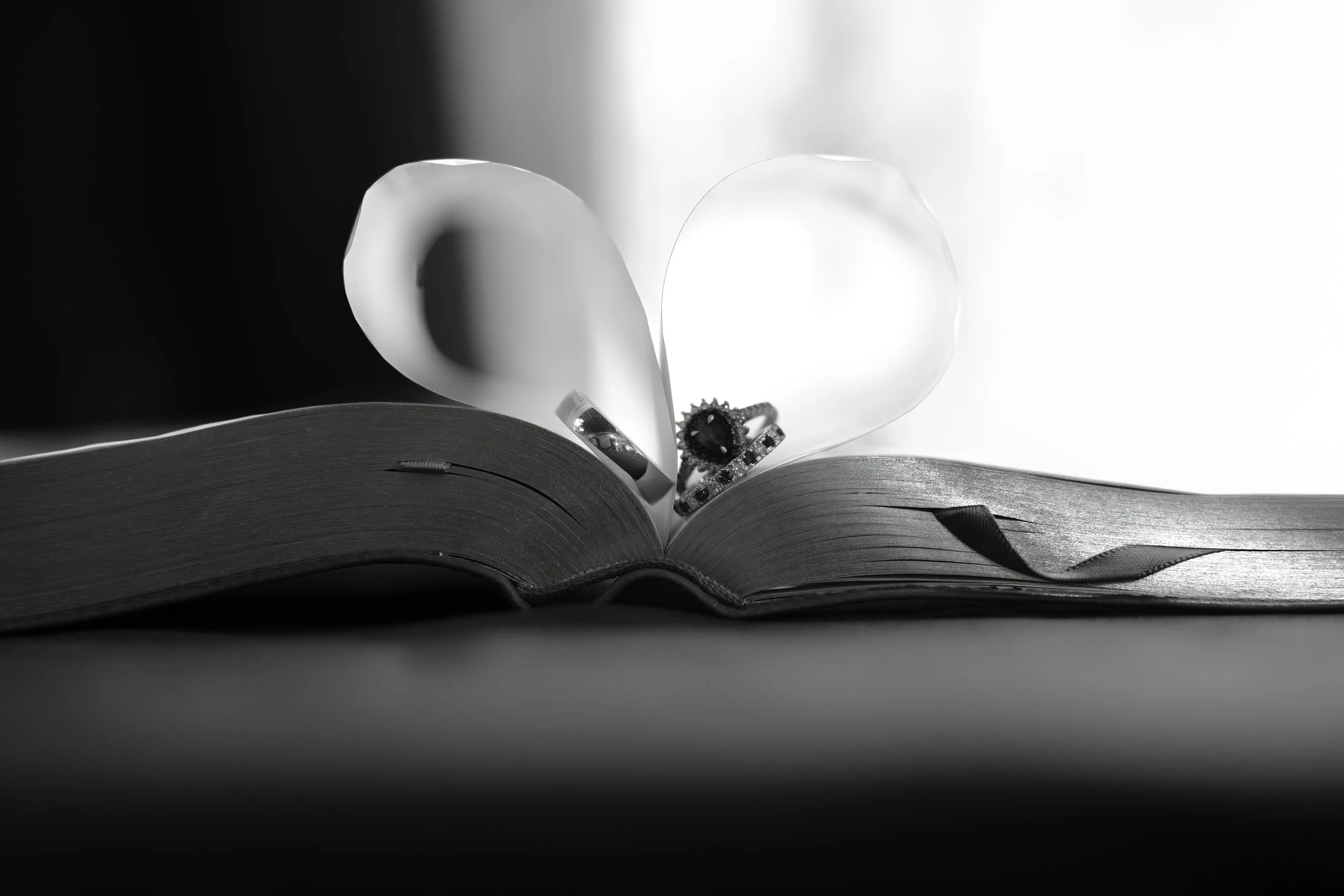 WeddingPortfolio-65.jpg