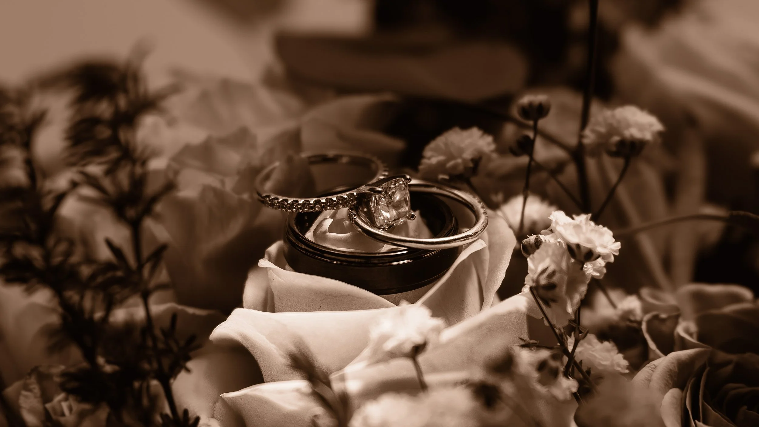 WeddingPortfolio-51.jpg