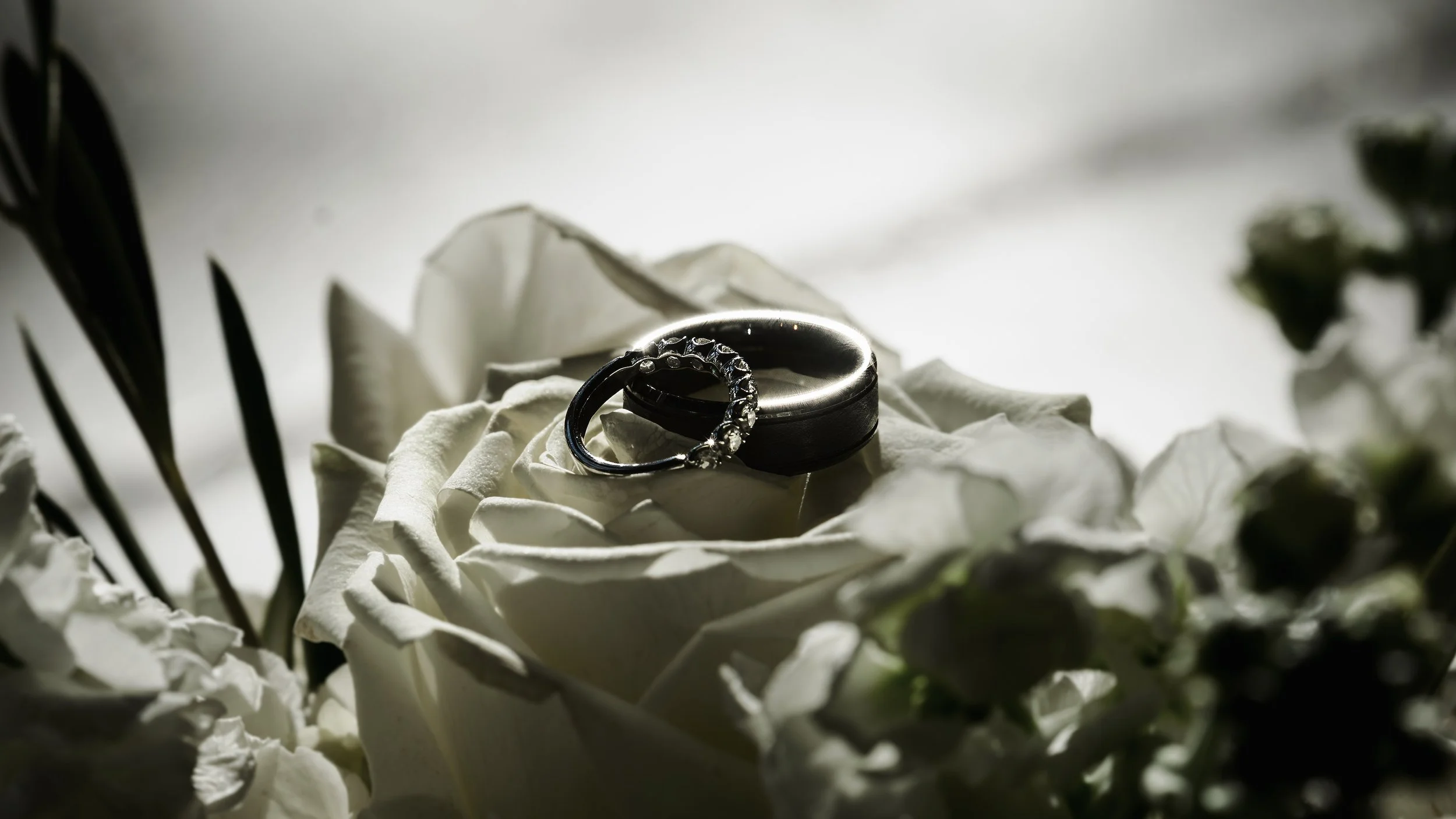 WeddingPortfolio-24.jpg