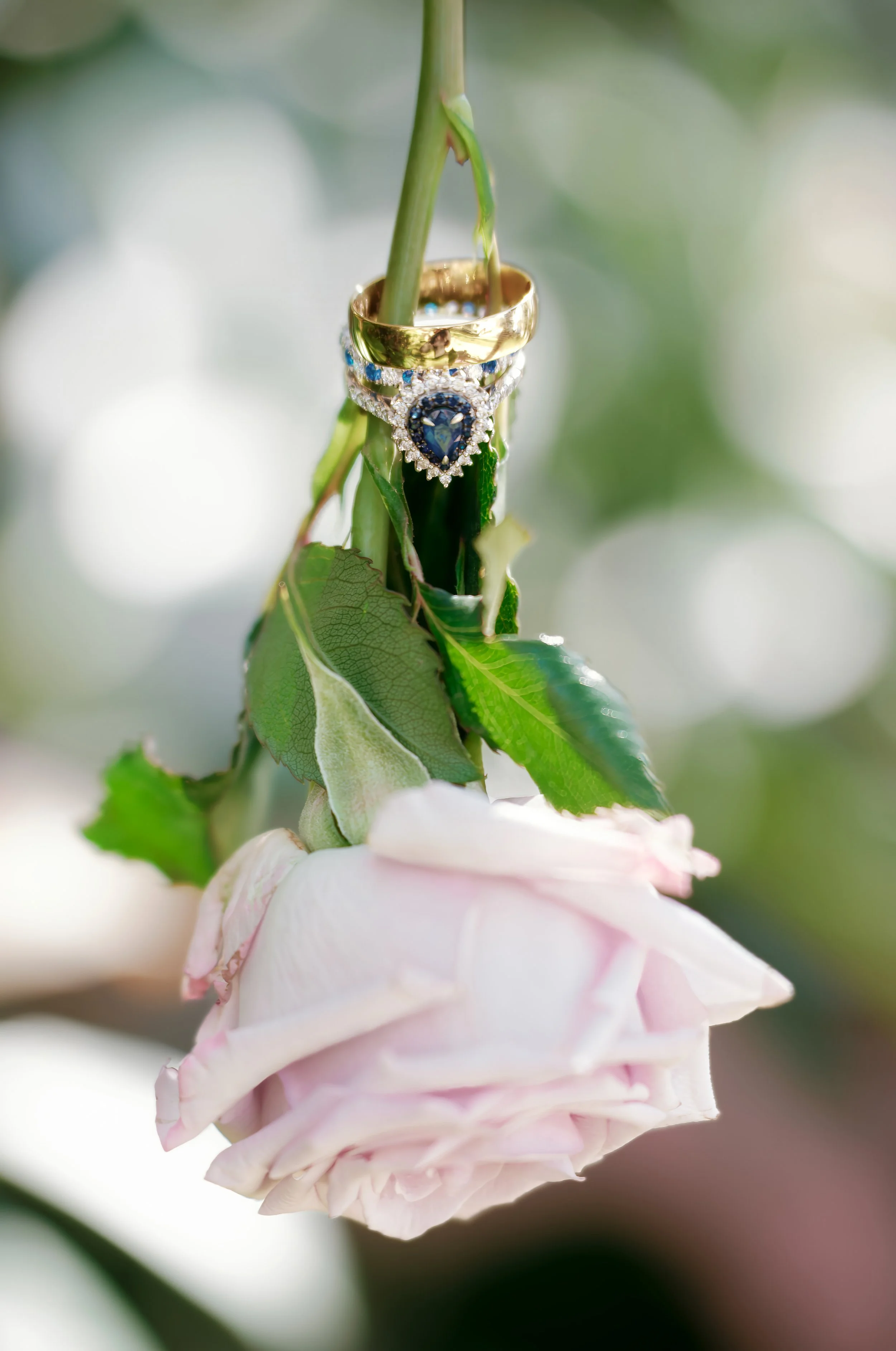 WeddingPortfolio-66.jpg