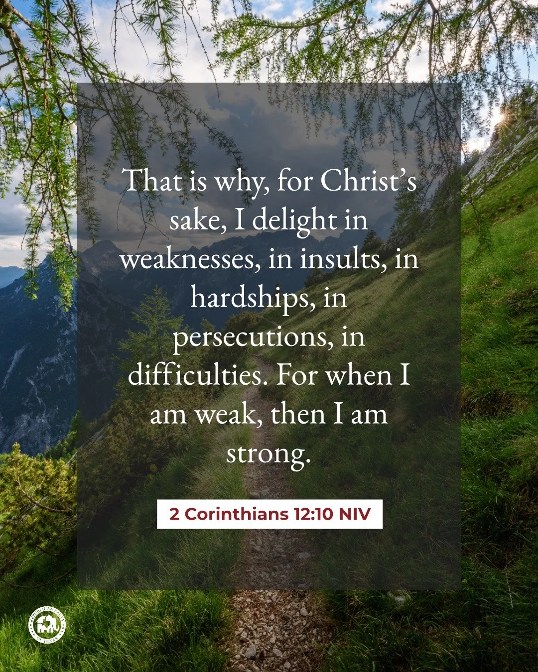 "That is why, for Christ&rsquo;s sake, I delight in weaknesses, in insults, in hardships, in persecutions, in difficulties. For when I am weak, then I am strong." 2 Corinthians 12:10 NIV 

Happy Sunday!