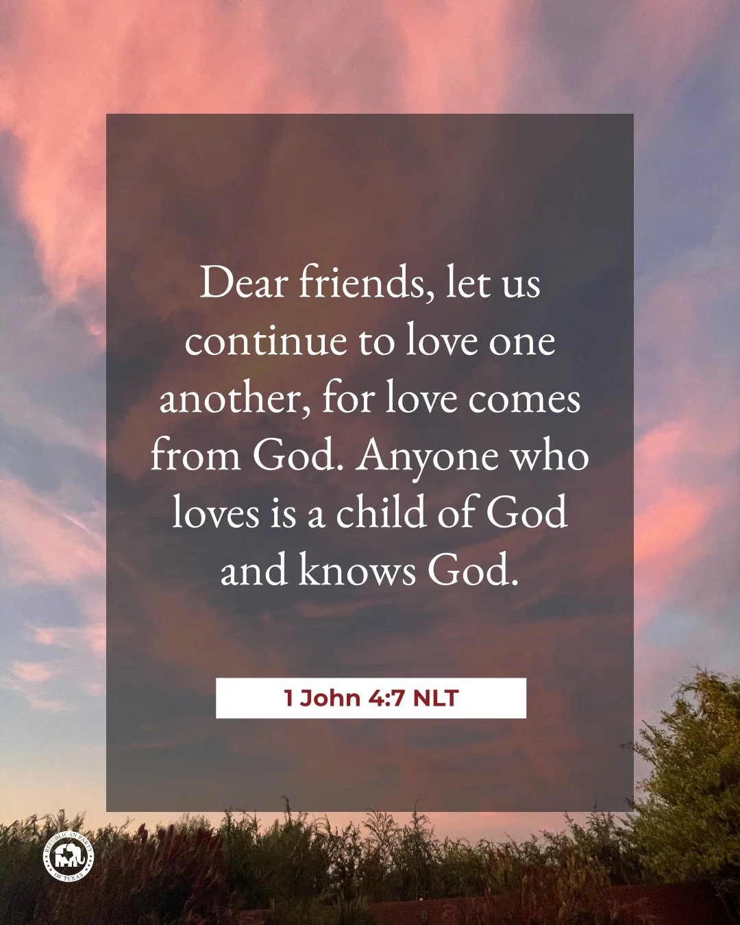 "Dear friends, let us continue to love one another, for love comes from God. Anyone who loves is a child of God and knows God." 1 John 4:7 NLT 

Happy Sunday!