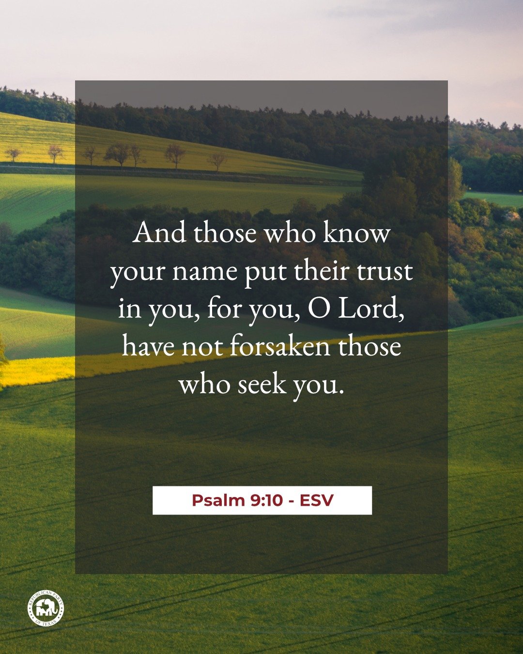 "And those who know your name put their trust in you, for you, O Lord, have not forsaken those who seek you." - Psalm 9:10 ESV 

Happy Sunday!