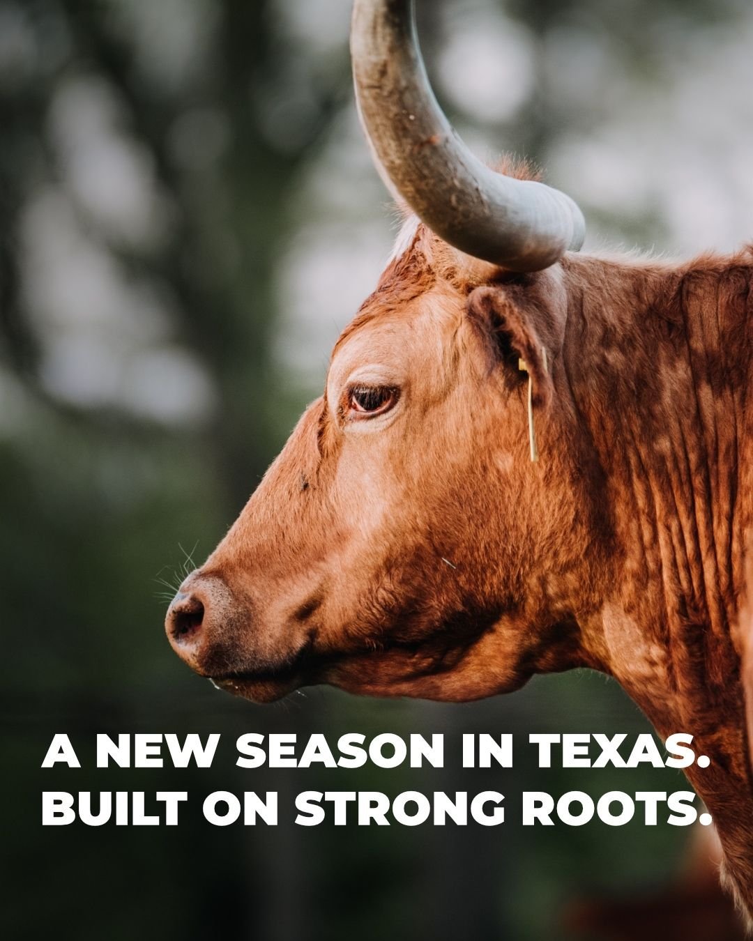 Springtime in Texas.

It&rsquo;s a season of renewal, growth, and opportunity - just like the future we&rsquo;re building for our state: stronger communities, stronger values, and a stronger Texas.

The best is ahead. Let&rsquo;s keep moving Texas fo