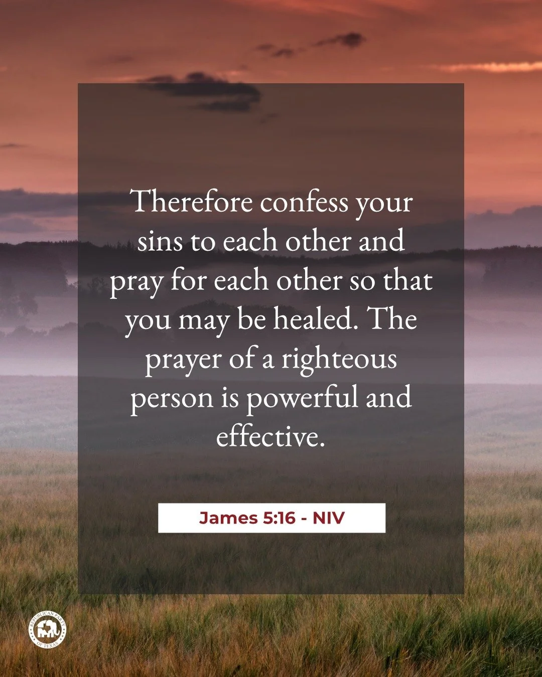"Therefore confess your sins to each other and pray for each other so that you may be healed. The prayer of a righteous person is powerful and effective." - James 5:16 NIV 

Happy Sunday!