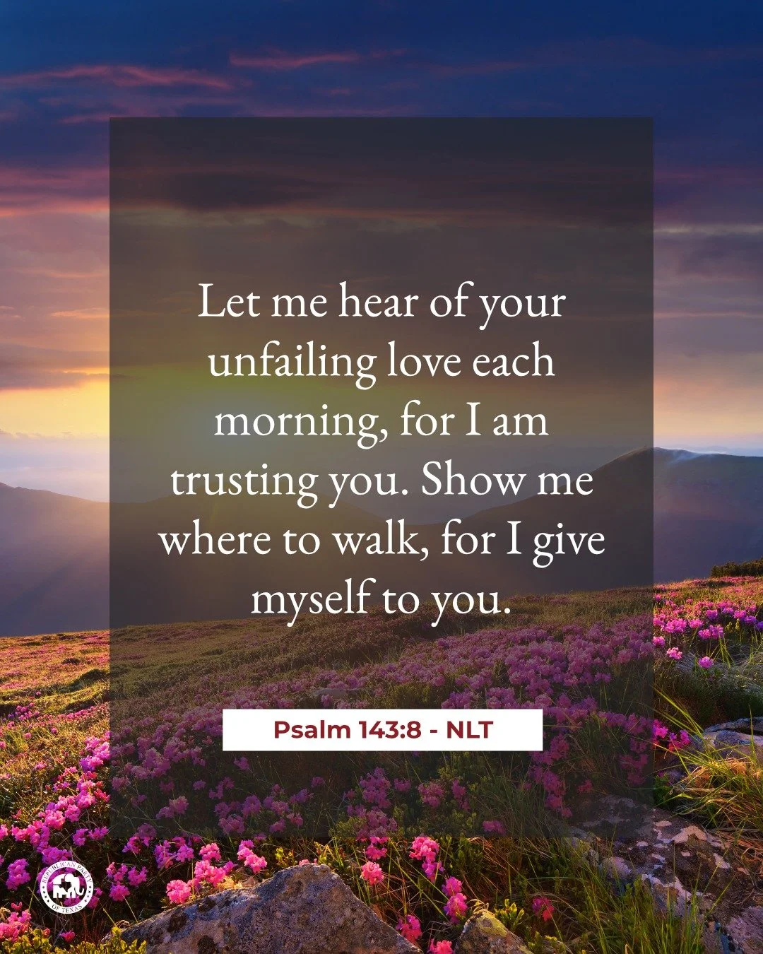 "Let me hear of your unfailing love each morning, for I am trusting you. Show me where to walk, for I give myself to you." - Psalm 143:8 NLT 

Happy Sunday!