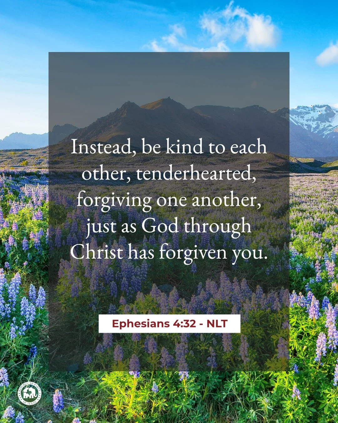 "Instead, be kind to each other, tenderhearted, forgiving one another, just as God through Christ has forgiven you." - Ephesians 4:32 NLT 

Happy Sunday!