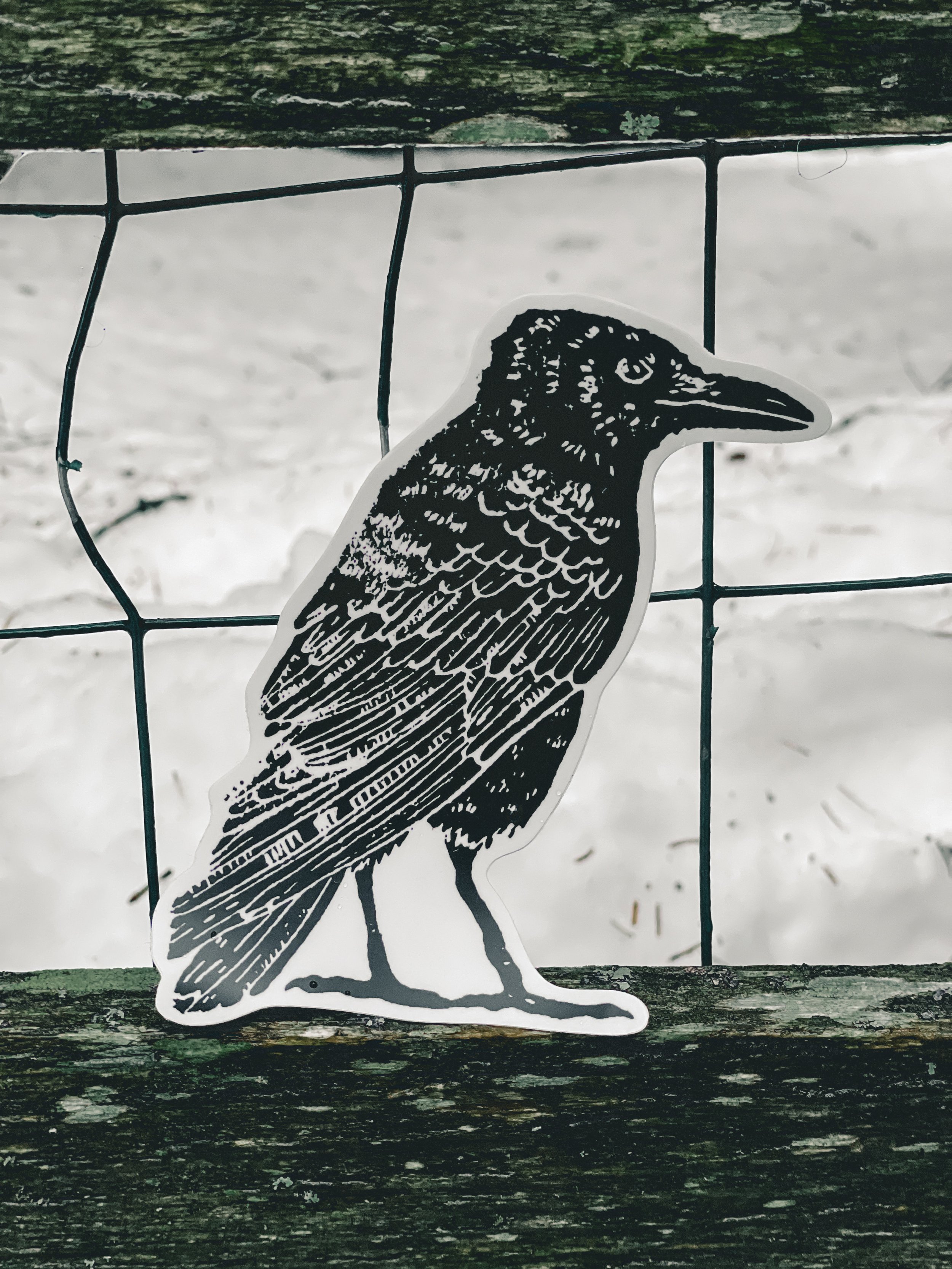 Block Print Raven Sticker