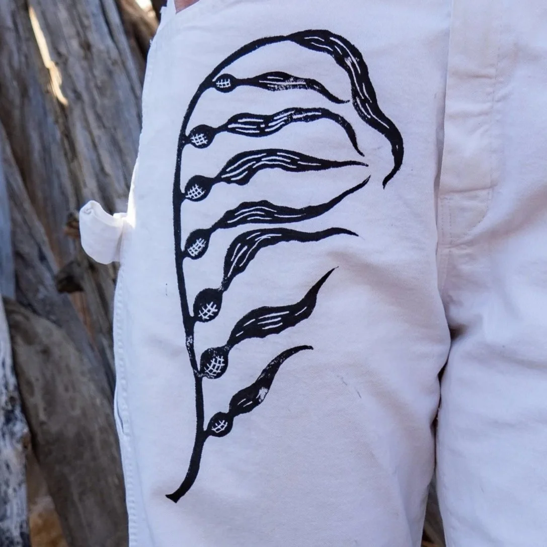 Giant Kelp