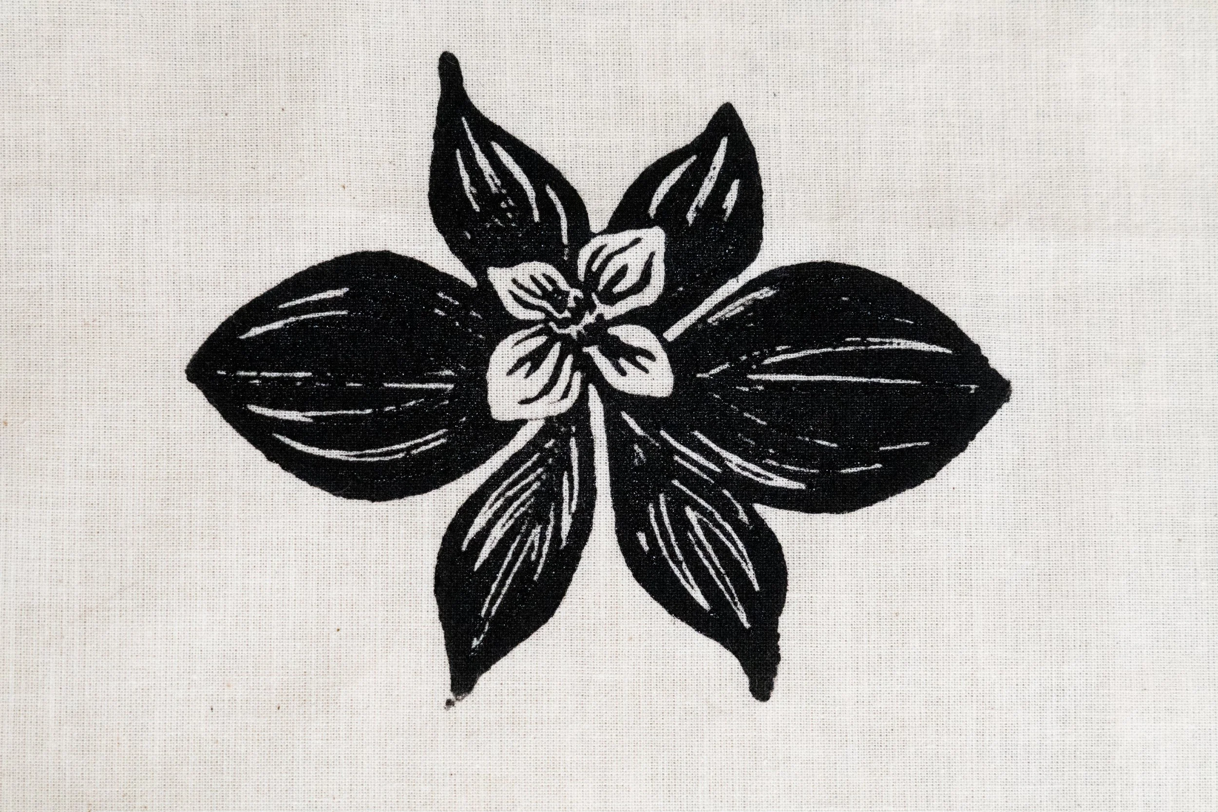 Dogwood ~ $20 