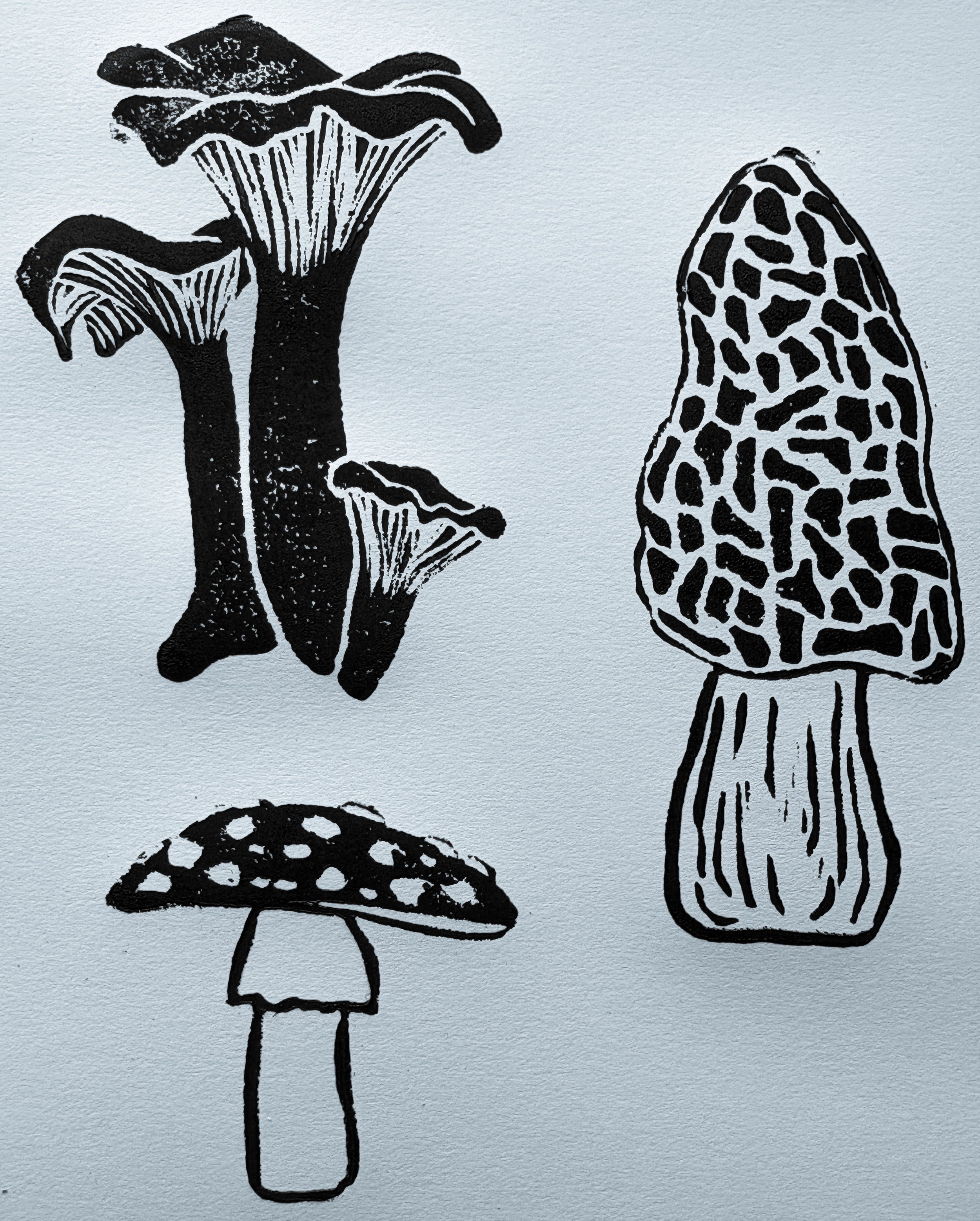 Chanterelle - $8
Amanita - $8
Morel - $8