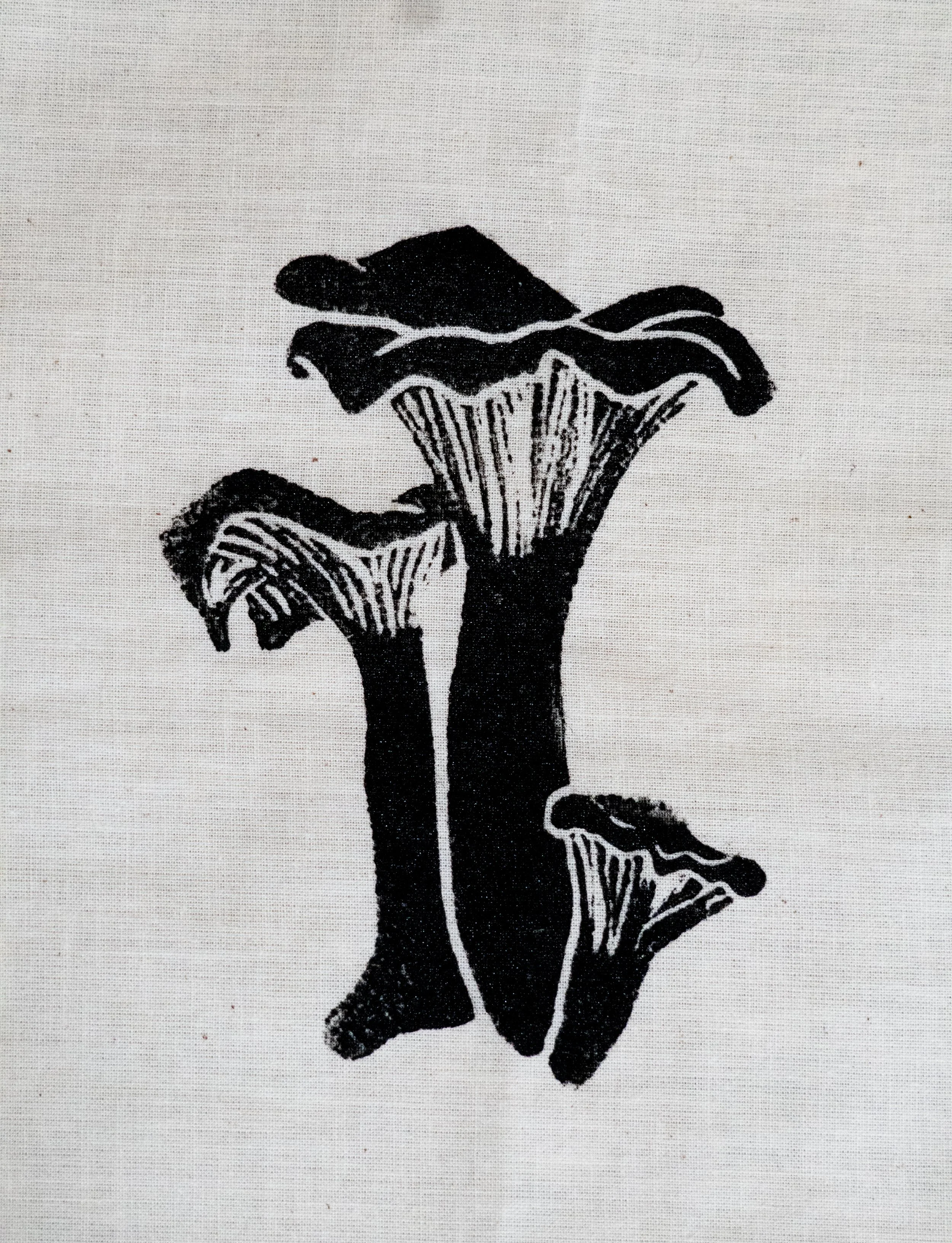 Chanterelle ~ $15