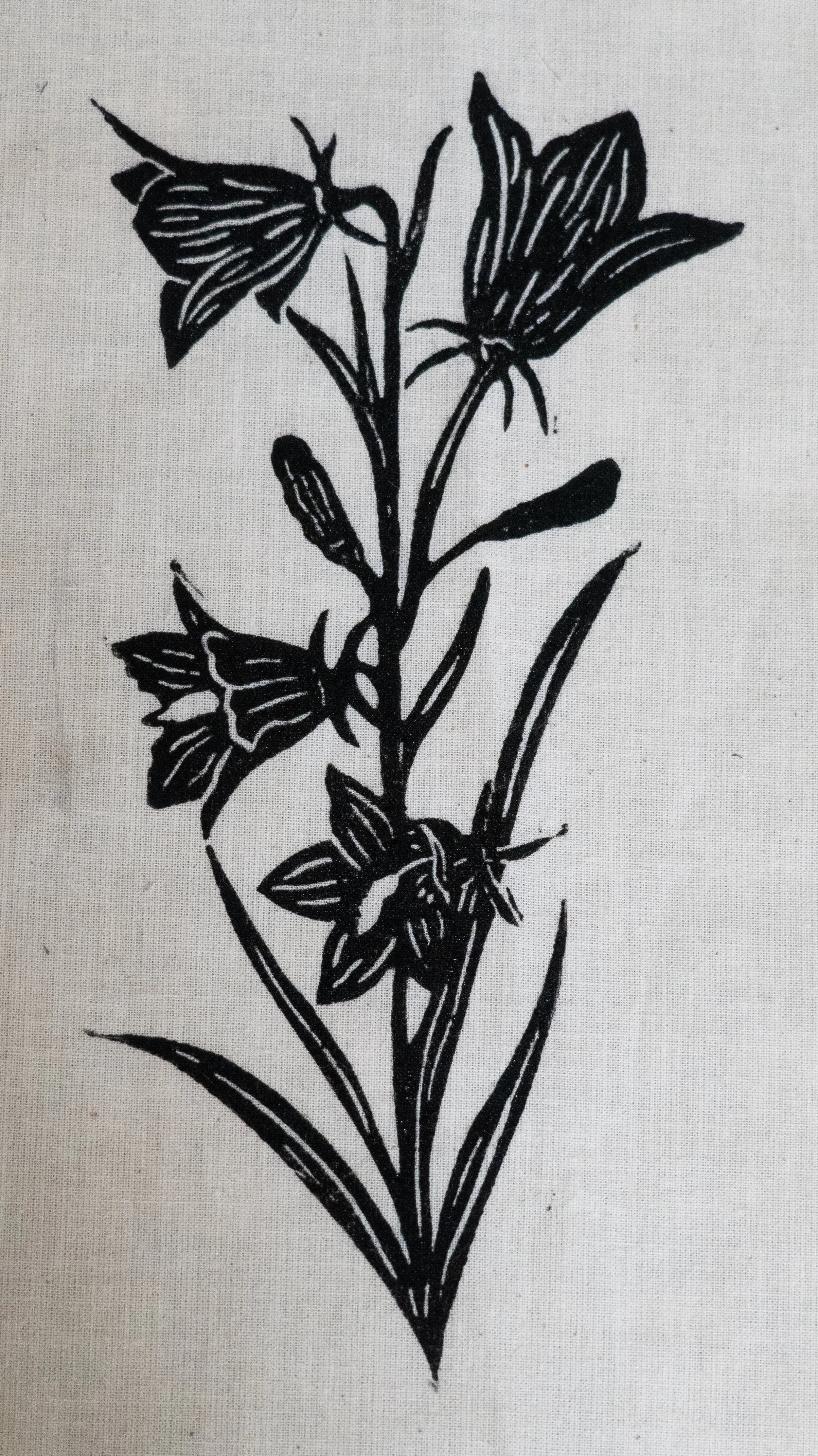Harebells ~ $20 