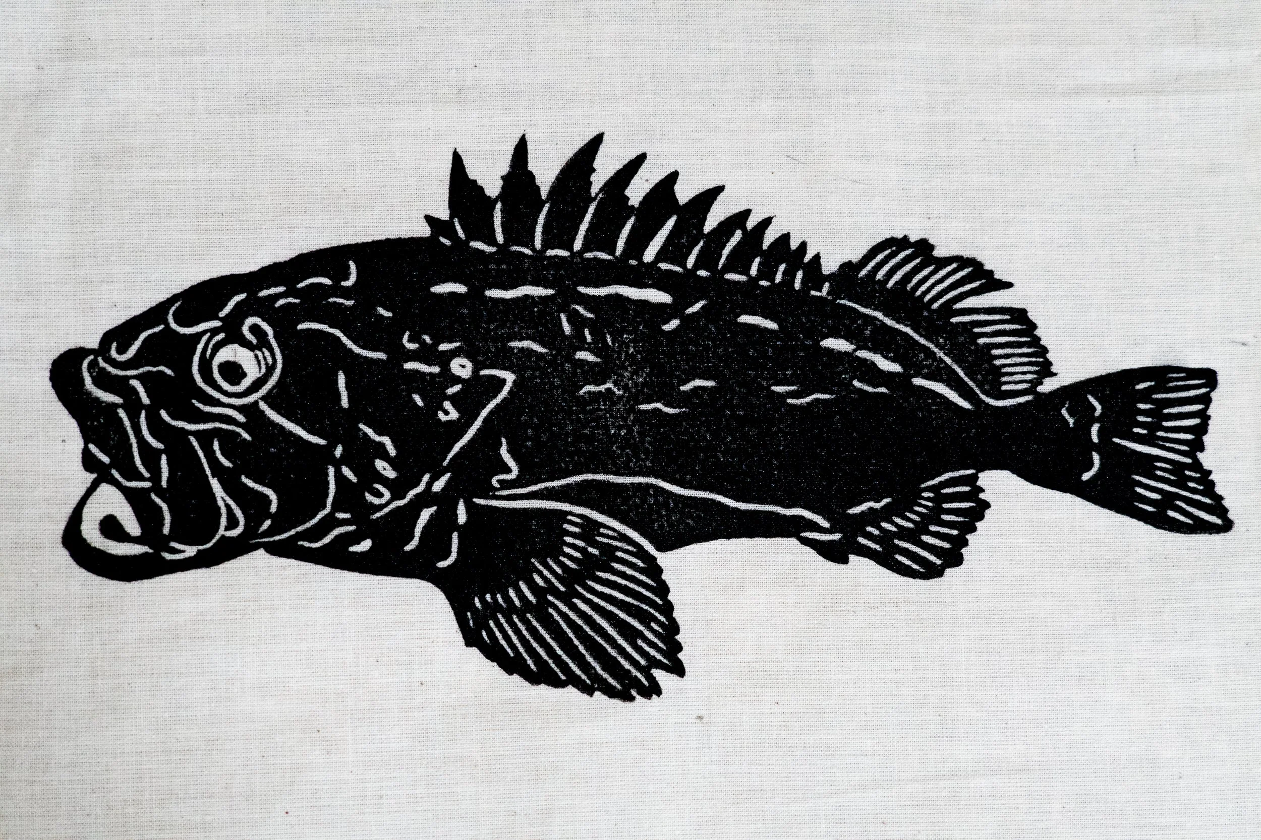 Yelloweye Rockfish ~ $25