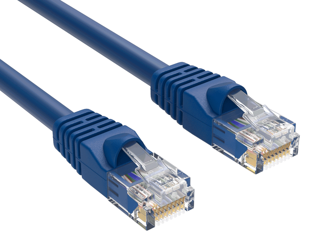 Two blue Ethernet cables with transparent connectors showing internal wiring.