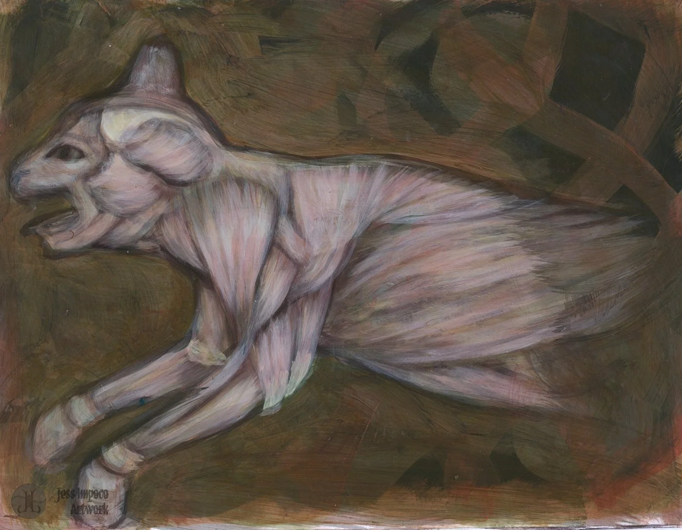 CatMuscles.jpg