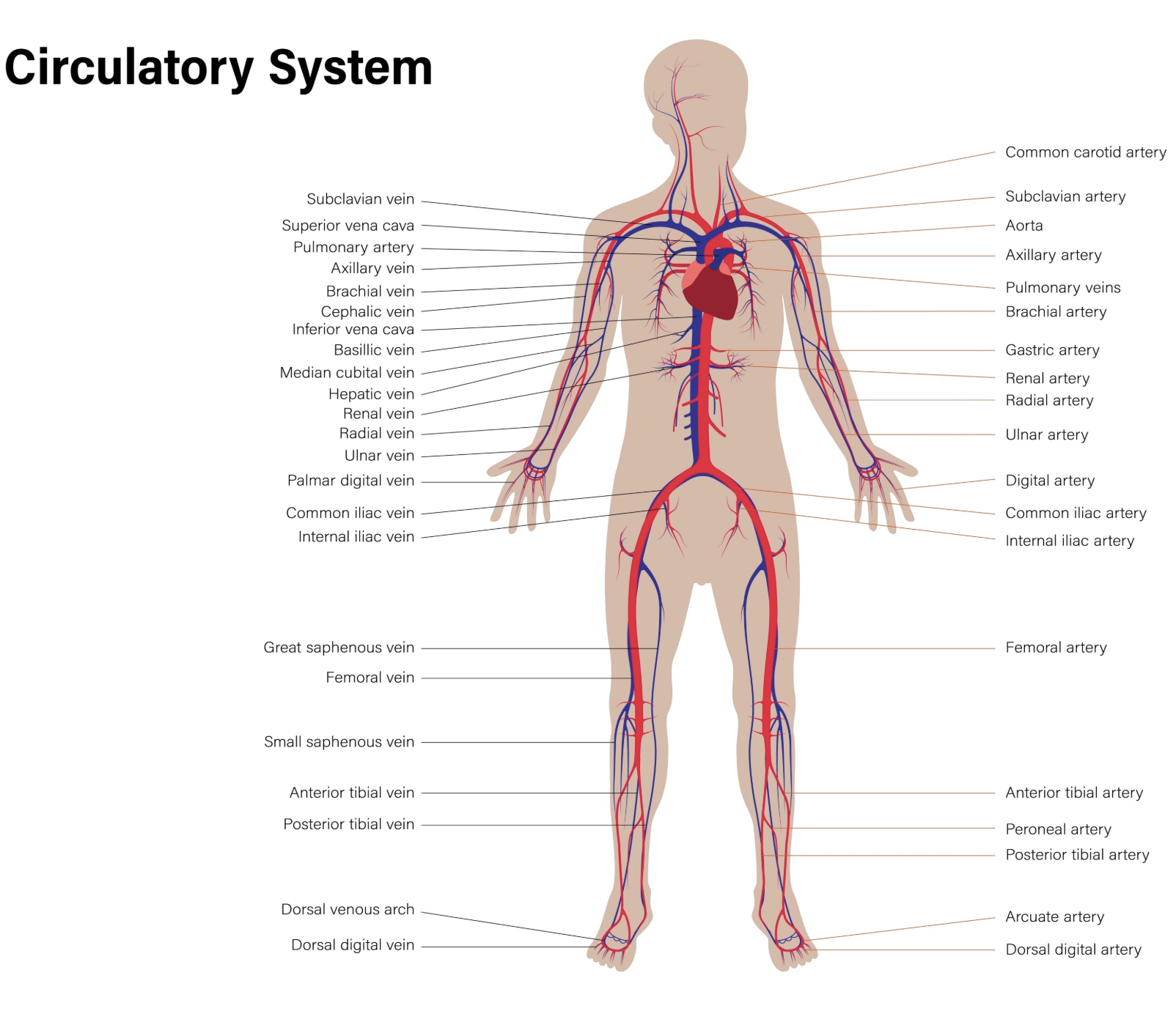 Screenshot 2026-01-30 at 5.54.50 PM.png