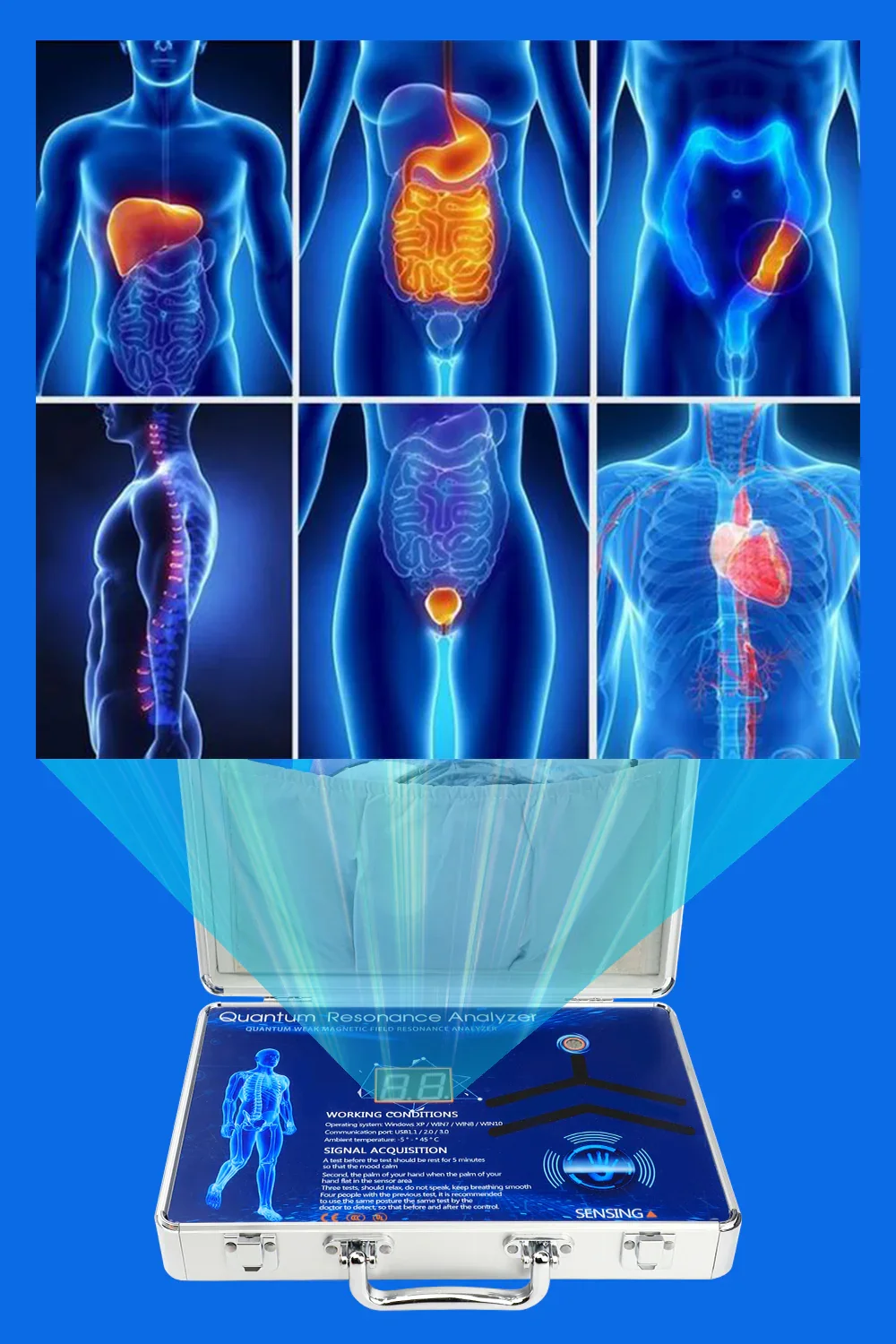 Vitality Wave Scan