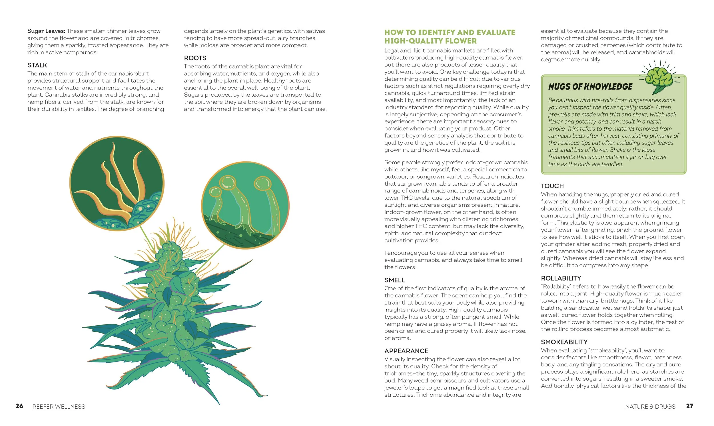 9780593847152_ReeferWellness_FINAL_INTERIOR 14.jpg