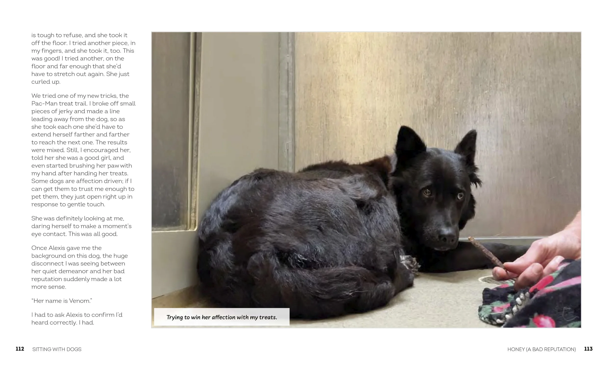 SittingWithDogs_112-113.jpg