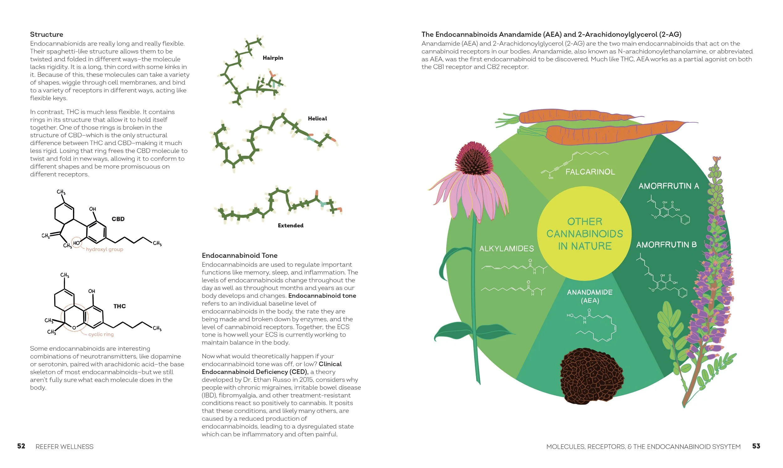 9780593847152_ReeferWellness_FINAL_INTERIOR 27.jpg