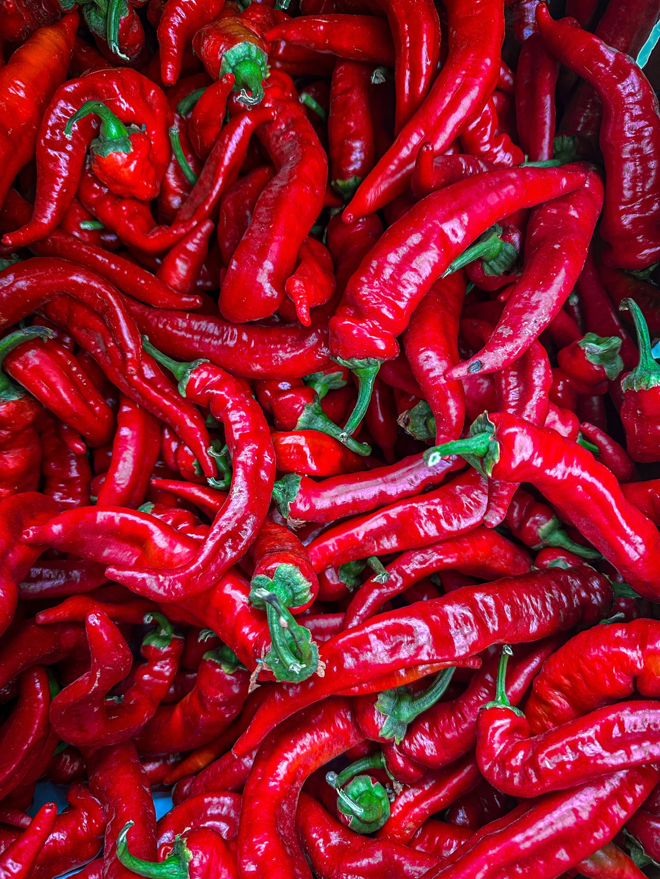 A close-up view of a pile of red chili peppers with green stems.
