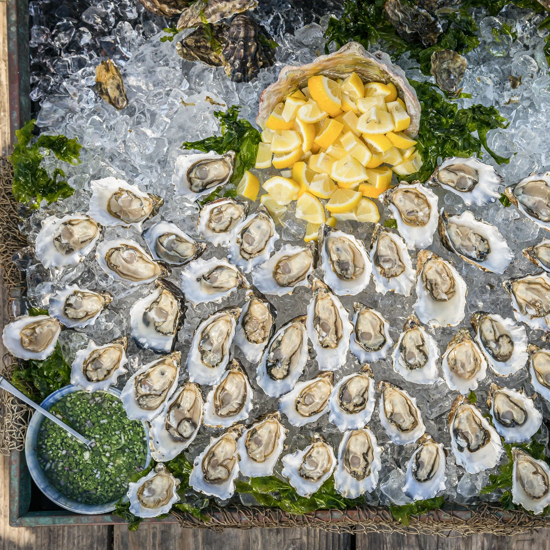 Assorted oysters on half shells on ice, garnished with lemon wedges and fresh greens, with a bowl of chopped green onions and a small bowl of green sauce.