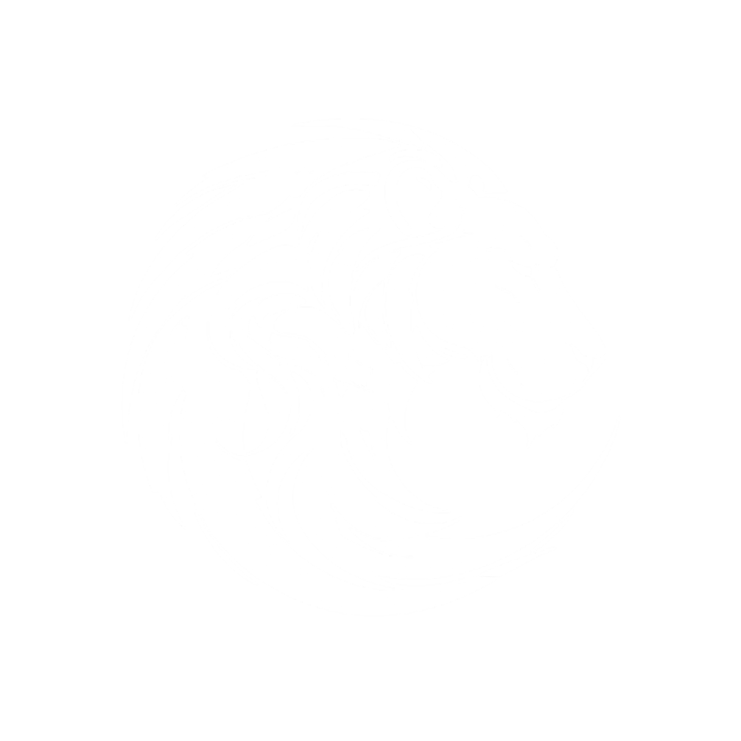 Moonlight Ark Productions (Copy)