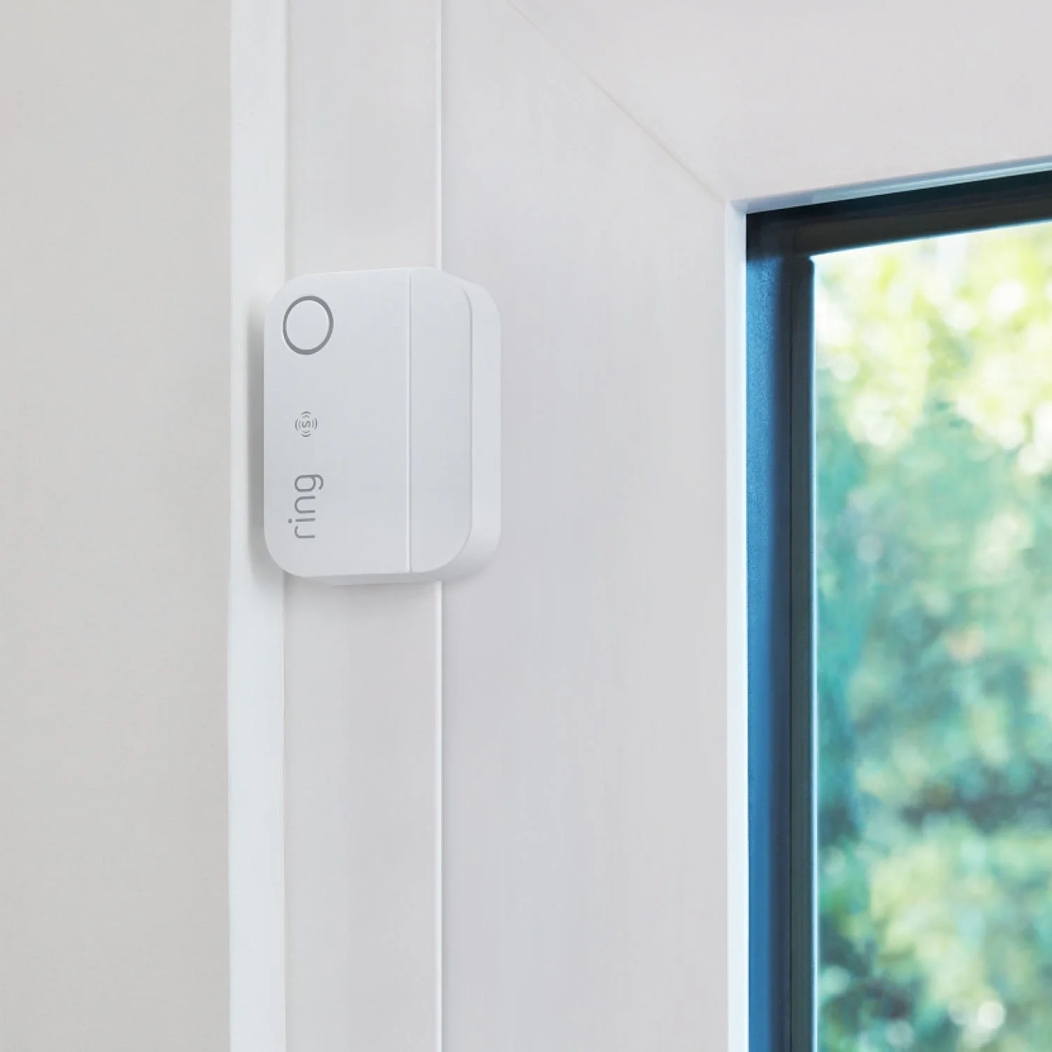 ring-doow-window-sensor-web2.jpg