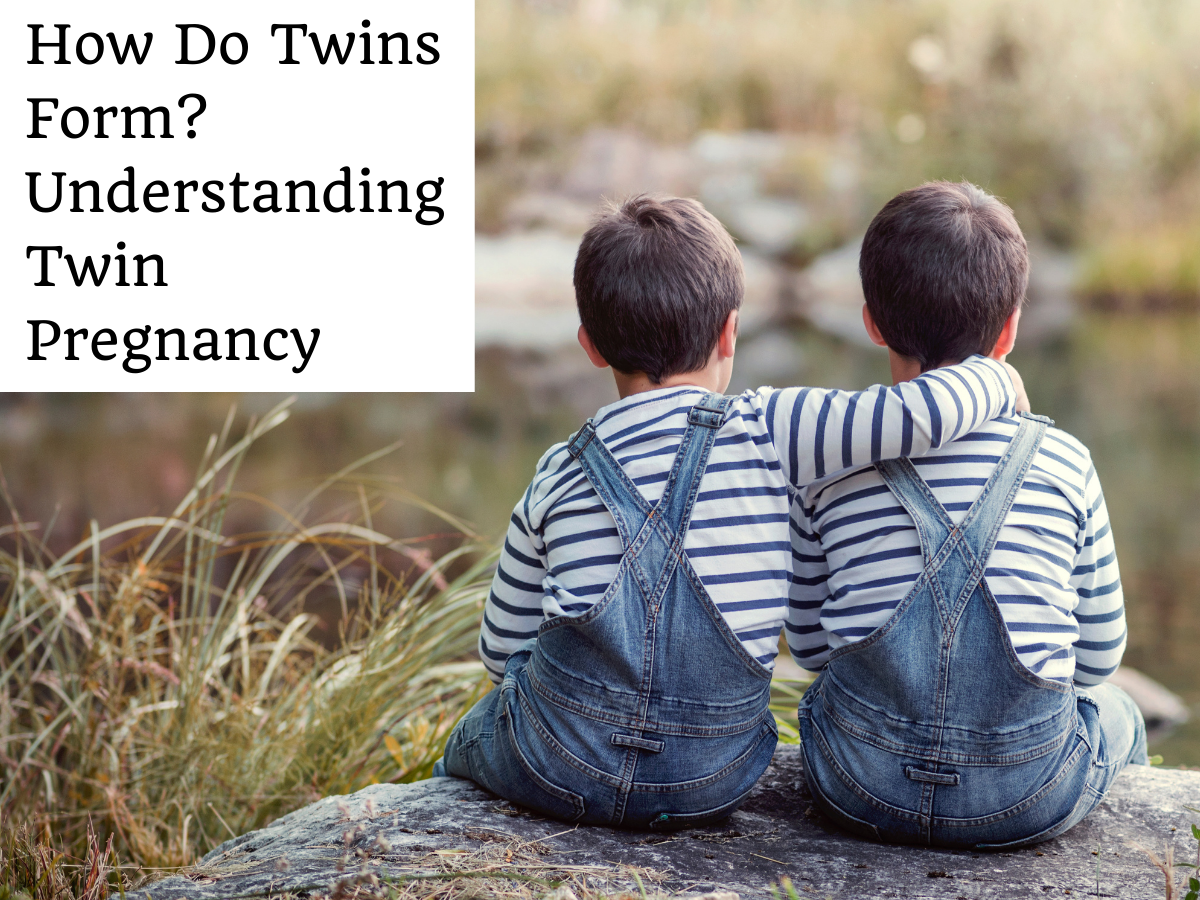 How Do Twins Form? Understanding Twin Pregnancy