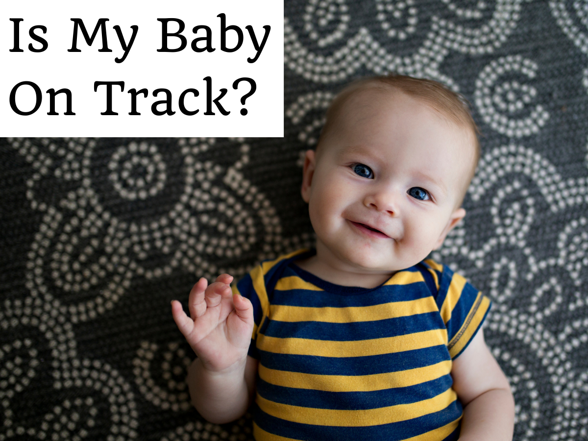 Is My Baby on Track? Developmental Milestones in the First Year