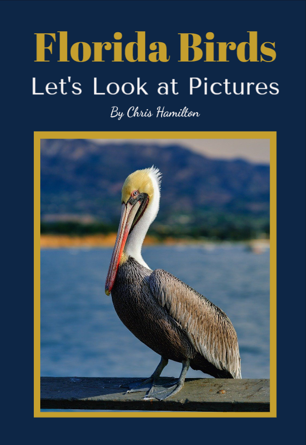 Book cover titled 'Florida Birds: Let's Look at Pictures' by Chris Hamilton, featuring a photograph of a pelican with a yellow head and long beak standing on a wooden surface with a water and mountain landscape background.