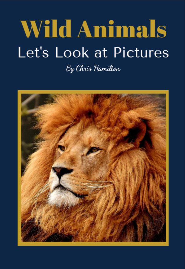Cover of a book titled 'Wild Animals: Let's Look at Pictures' by Chris Hamilton, featuring a close-up photo of a lion with a lush mane.