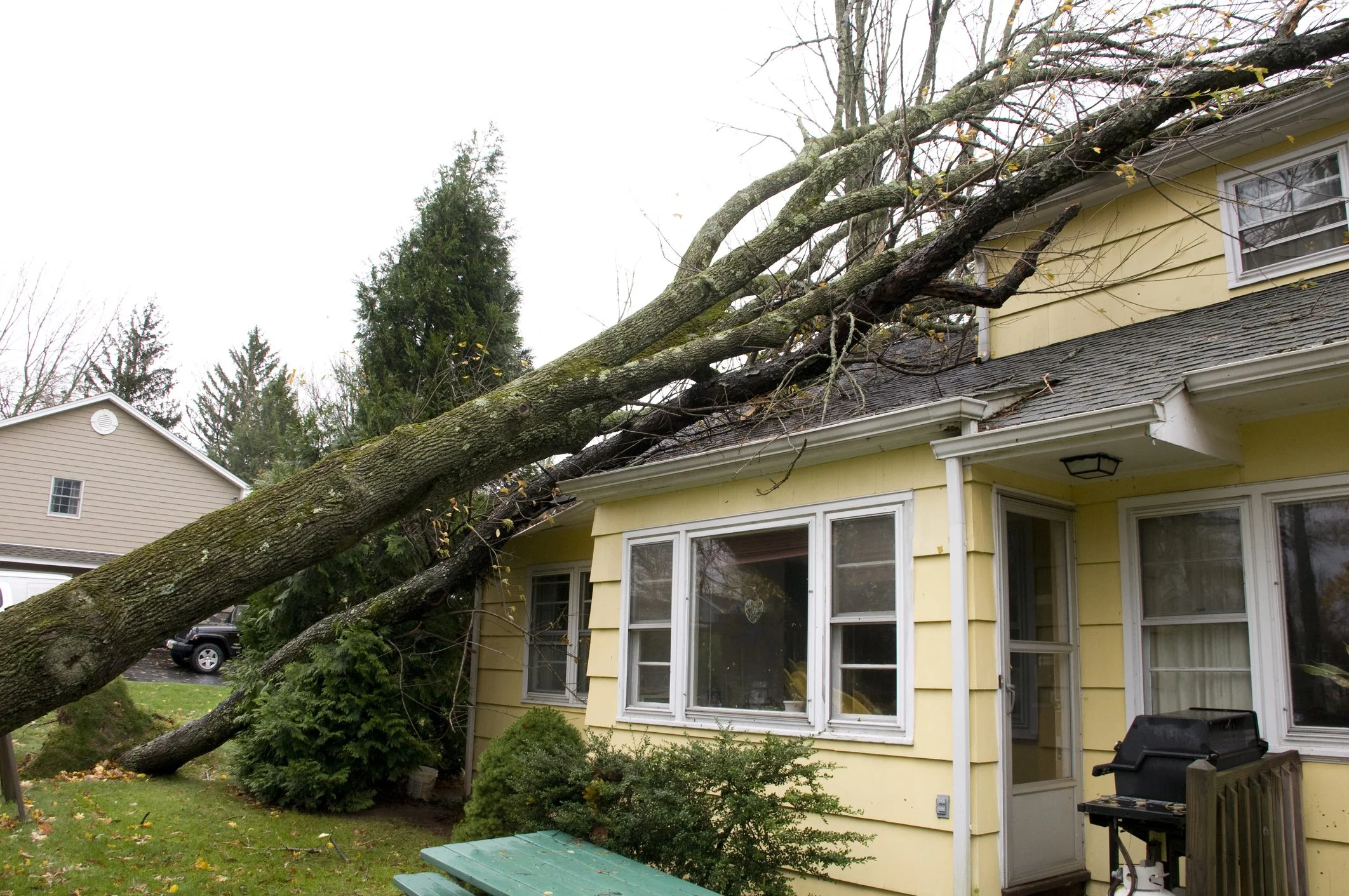 Large tree has fallen onto the roof of a yellow house, causing damage. The tree is leaning against the house, partially covering two windows on the lower level. The yard has a green picnic table, bushes, and a barbecue grill near the house.