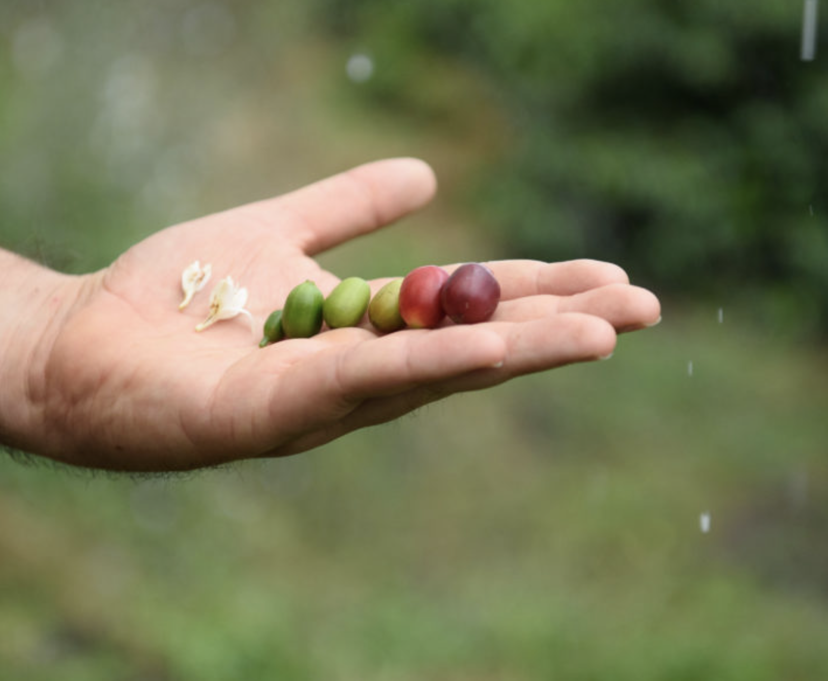 Image 9-27-25 at 23.05.png