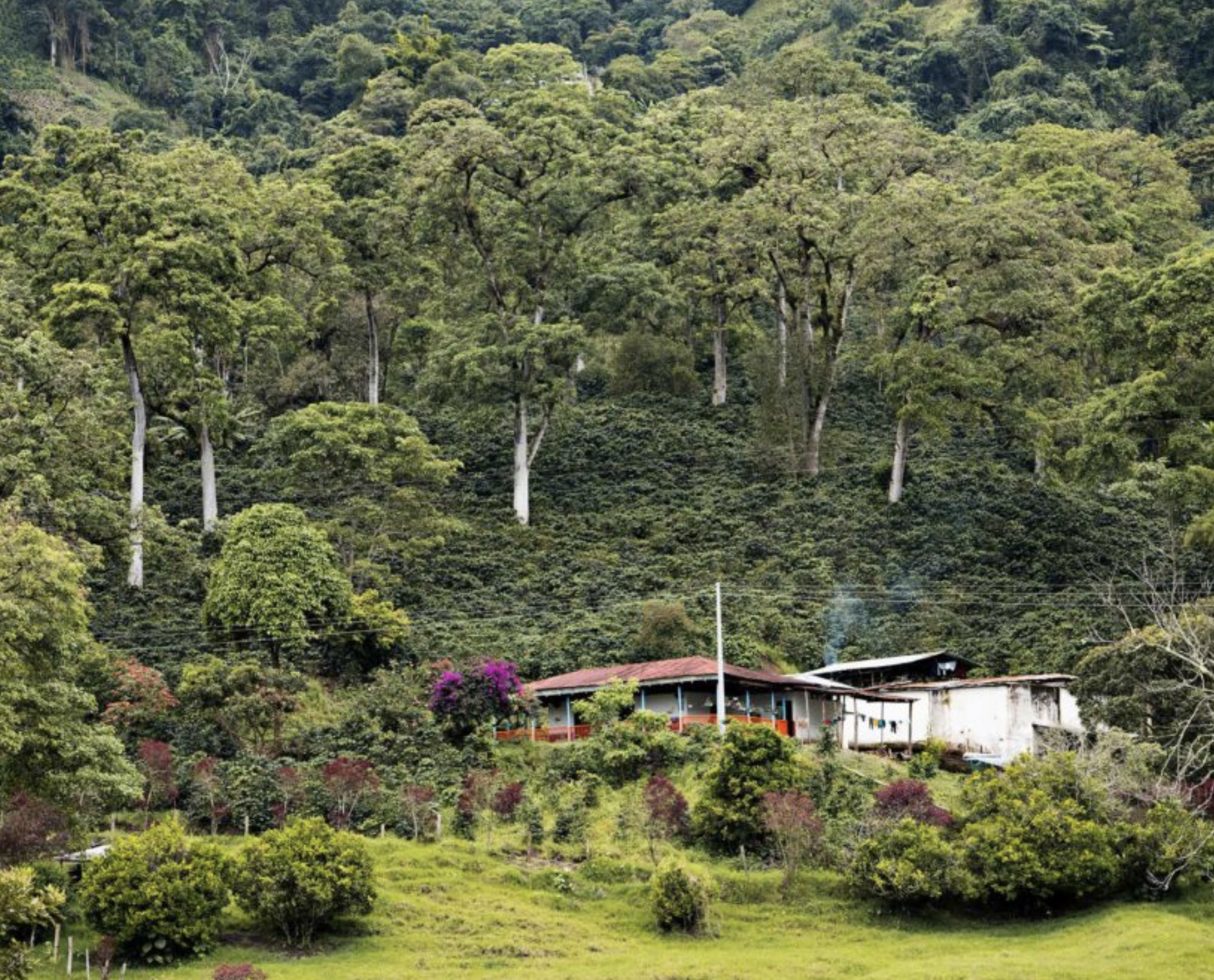 Image 9-27-25 at 13.05.png