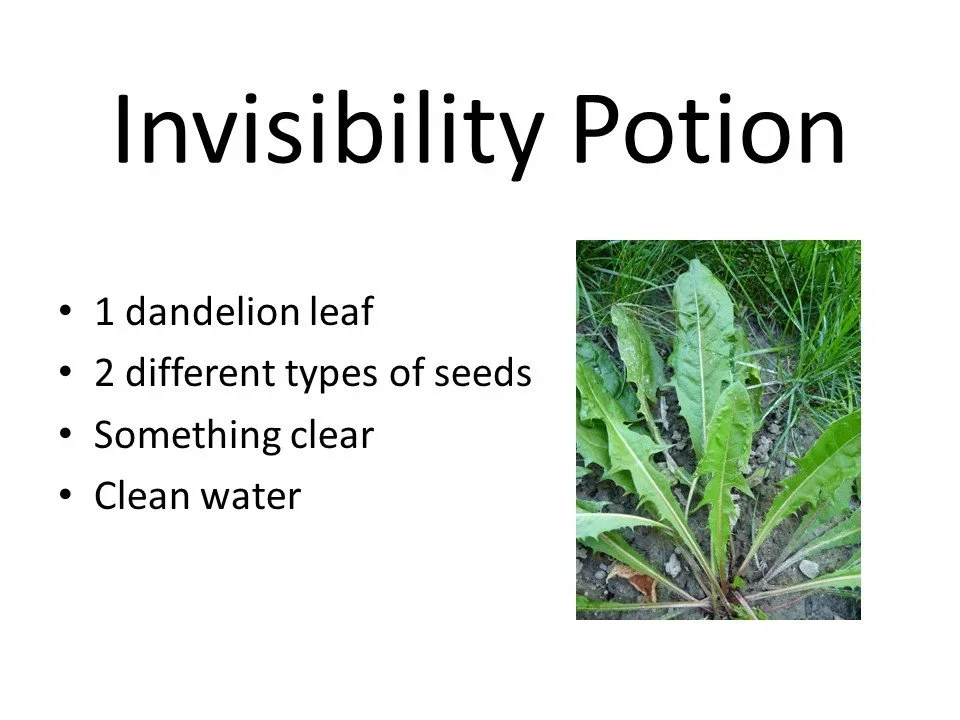 Invisibility+potion.webp