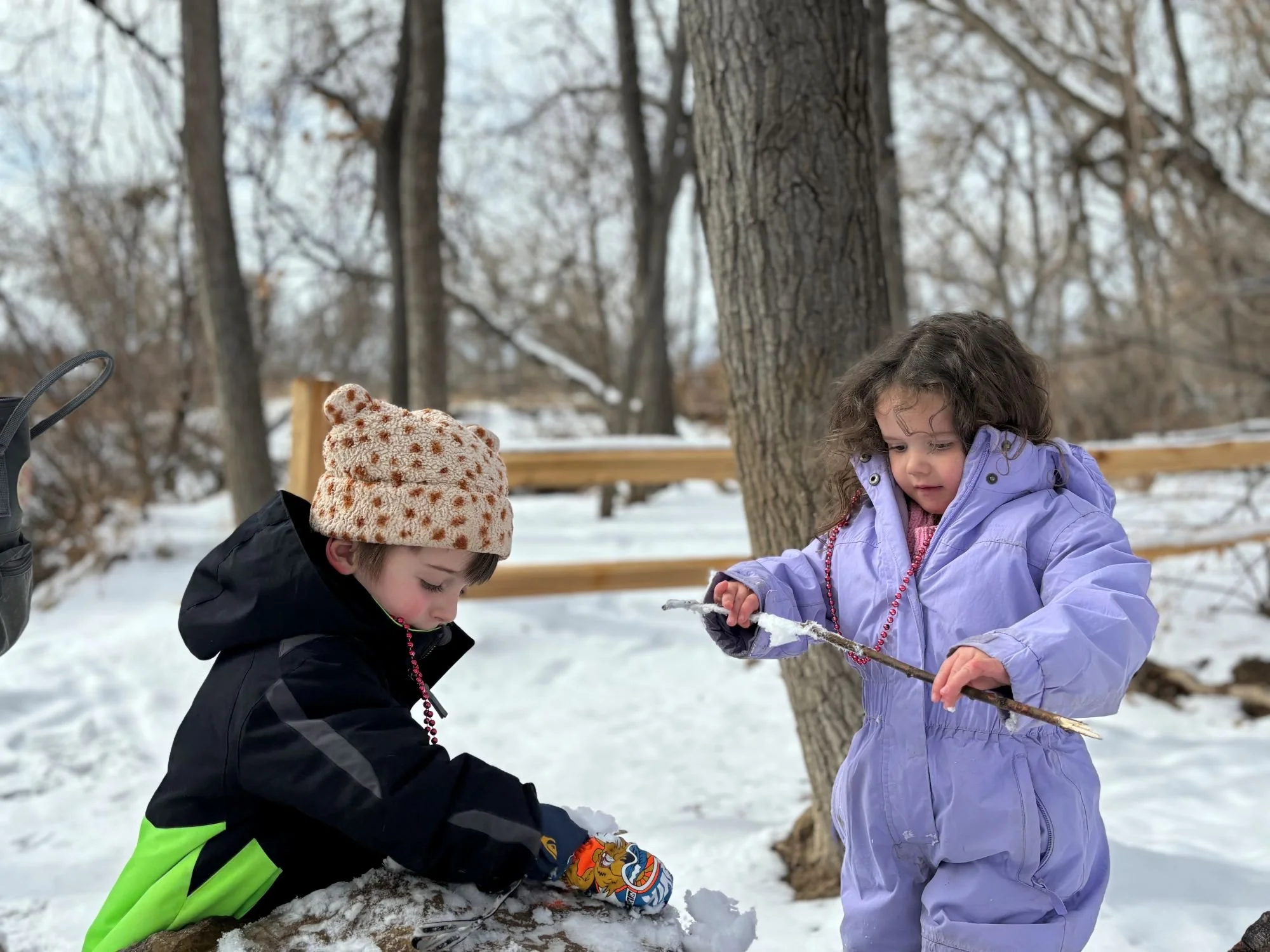 Winter Nature Together