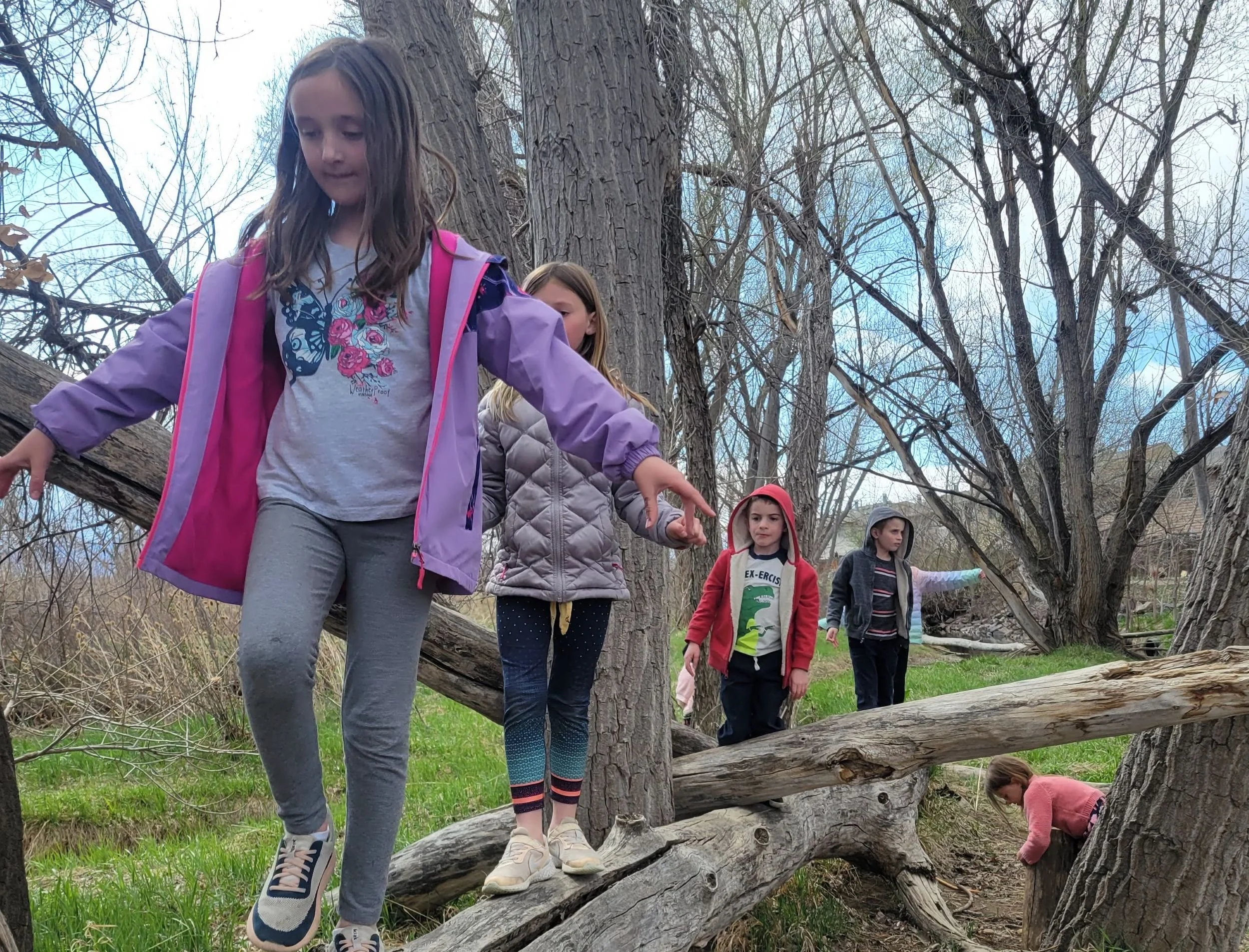 Spring Break Camp - Transition to Spring