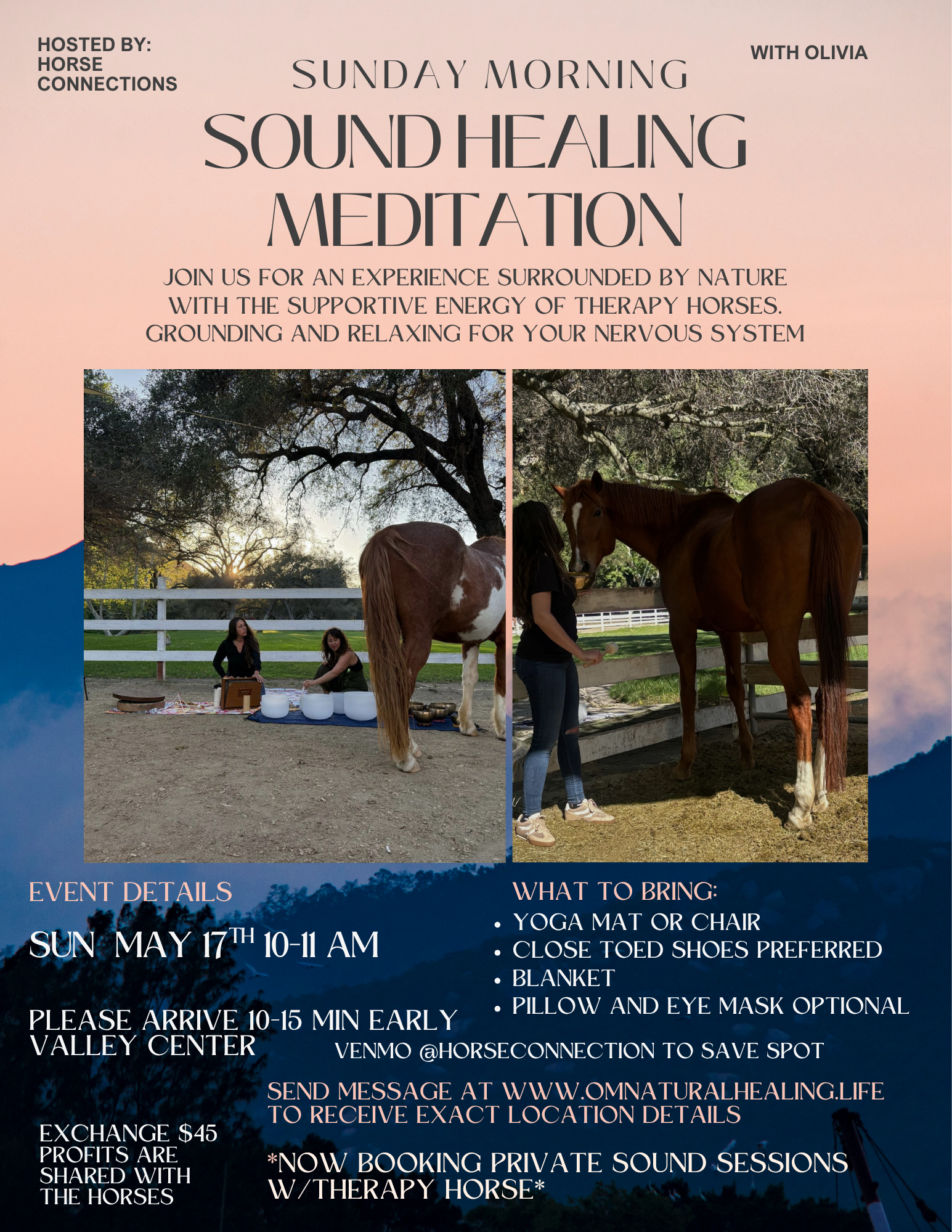 Horse Connections Sound Healing Meditation | June TBD