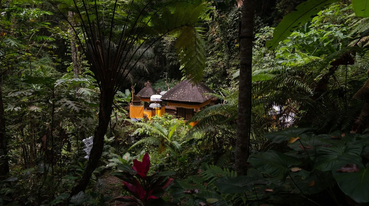 How to Plan a Work Retreat: A Complete Guide for 2025 & Beyond