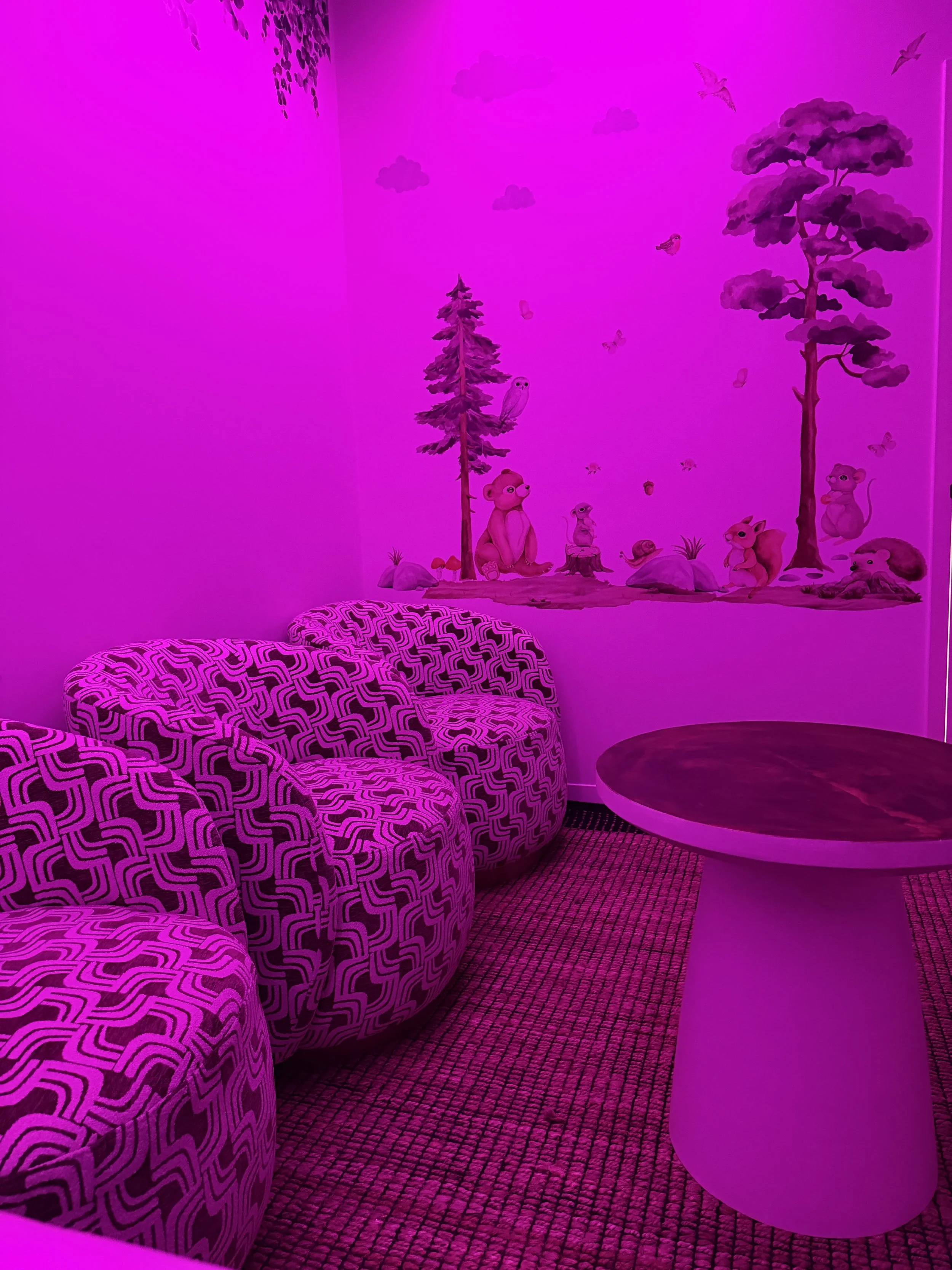 3D, 4D, 5D Ultrasound Perth | Gender Scan | Amara Imaging