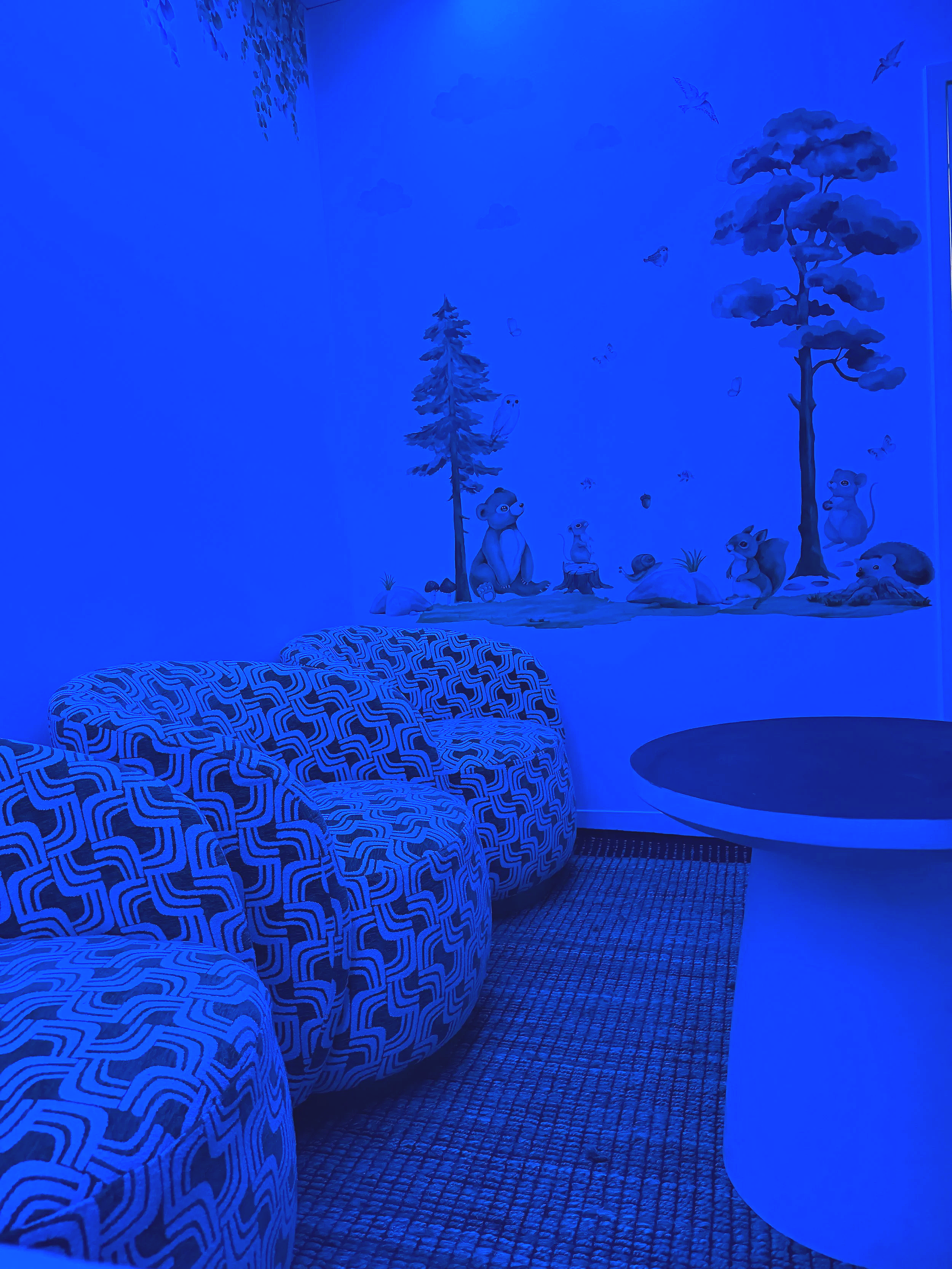 gender-reveal-ultrasound-scan-perth
